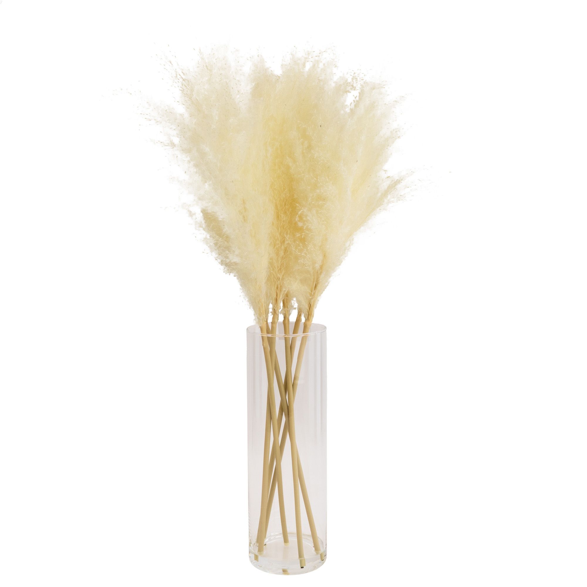Candlelight 64Cm White Pampas Grass Artificial Plant In Clear Glass Vase Price Comparisons | Compare The Build
