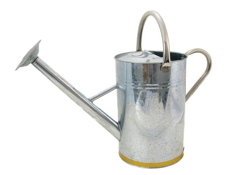 Kent & Stowe K/S34910 Metal Watering Can Galvanised Steel 9 litre Price Comparisons | Compare The Build