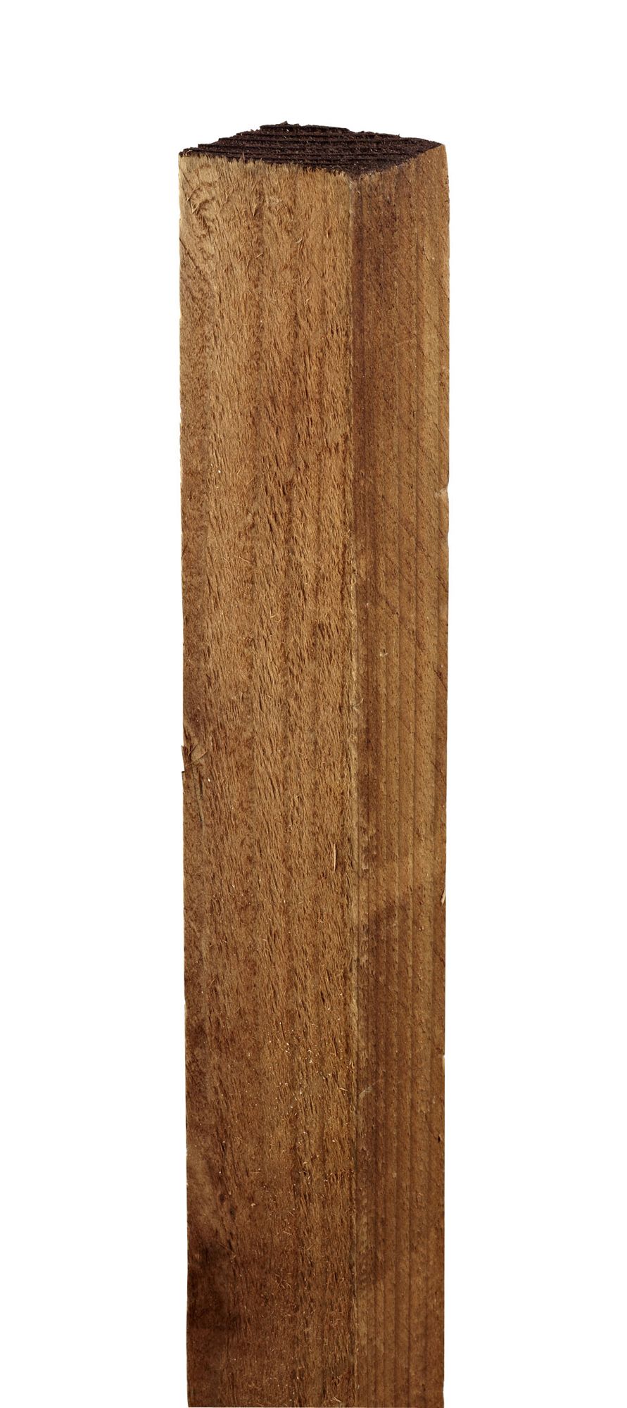 Blooma Fence Post (H)2.4M (W)50mm Price Comparisons | Compare The Build