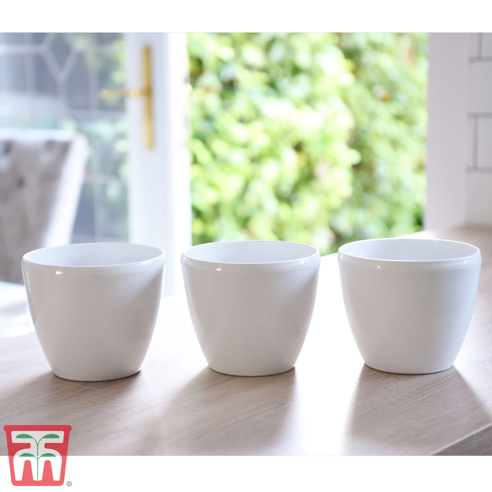 White Plastic Pot Price Comparisons | Compare The Build