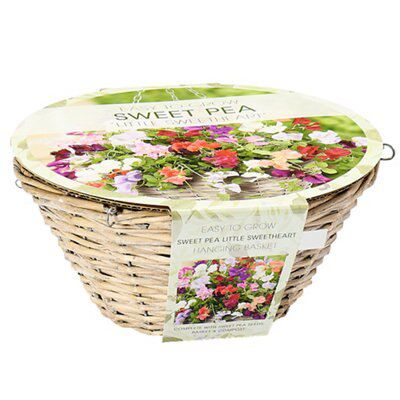 Multicolour Hanging Basket Price Comparisons | Compare The Build