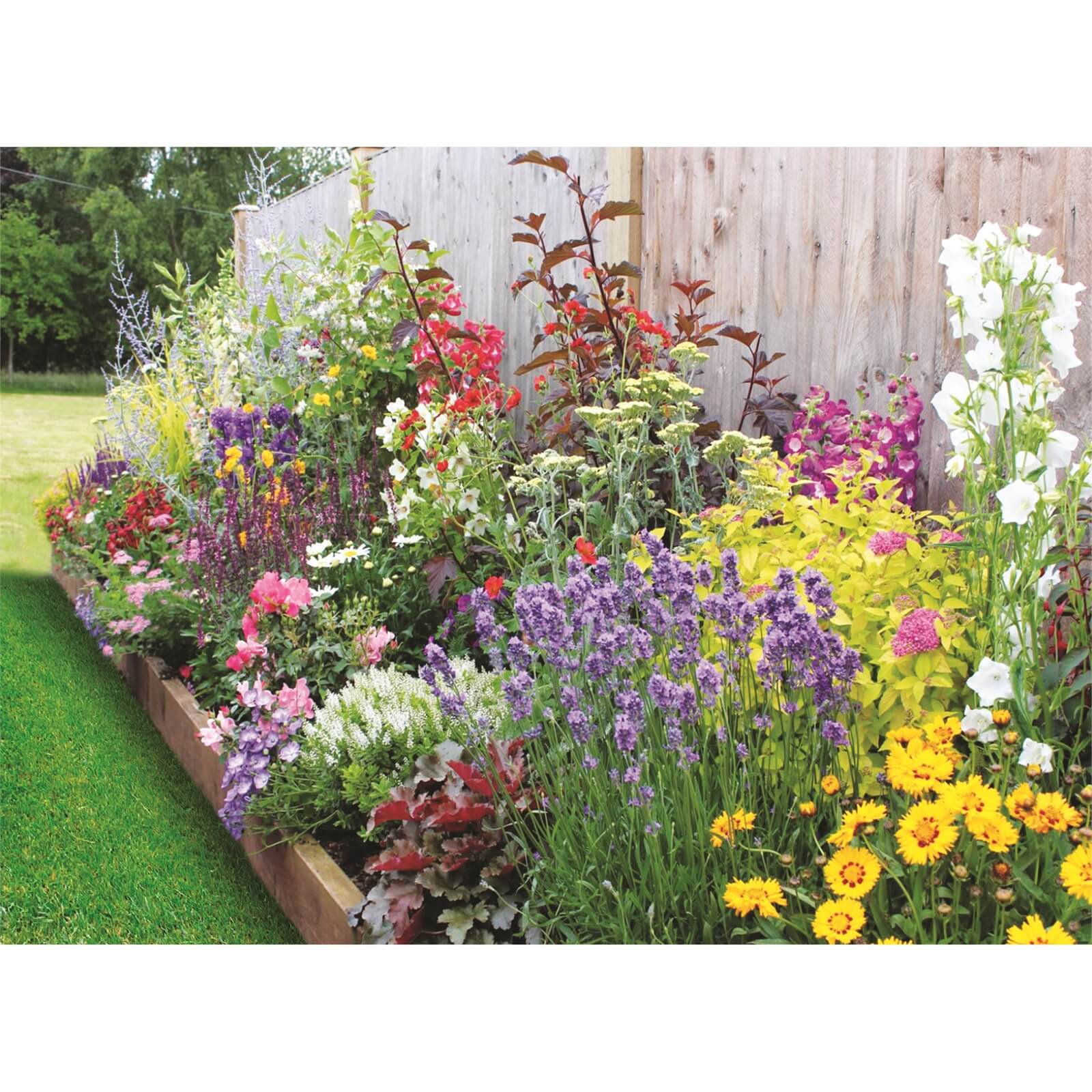 Bee and Butterfly Border 2m X 120cm Price Comparisons | Compare The Build