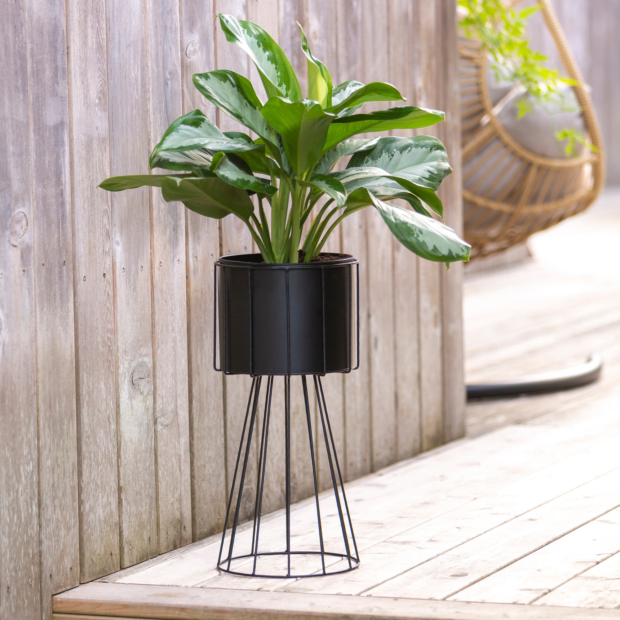 Black Plant Pot on Wire Frame Black Price Comparisons | Compare The Build