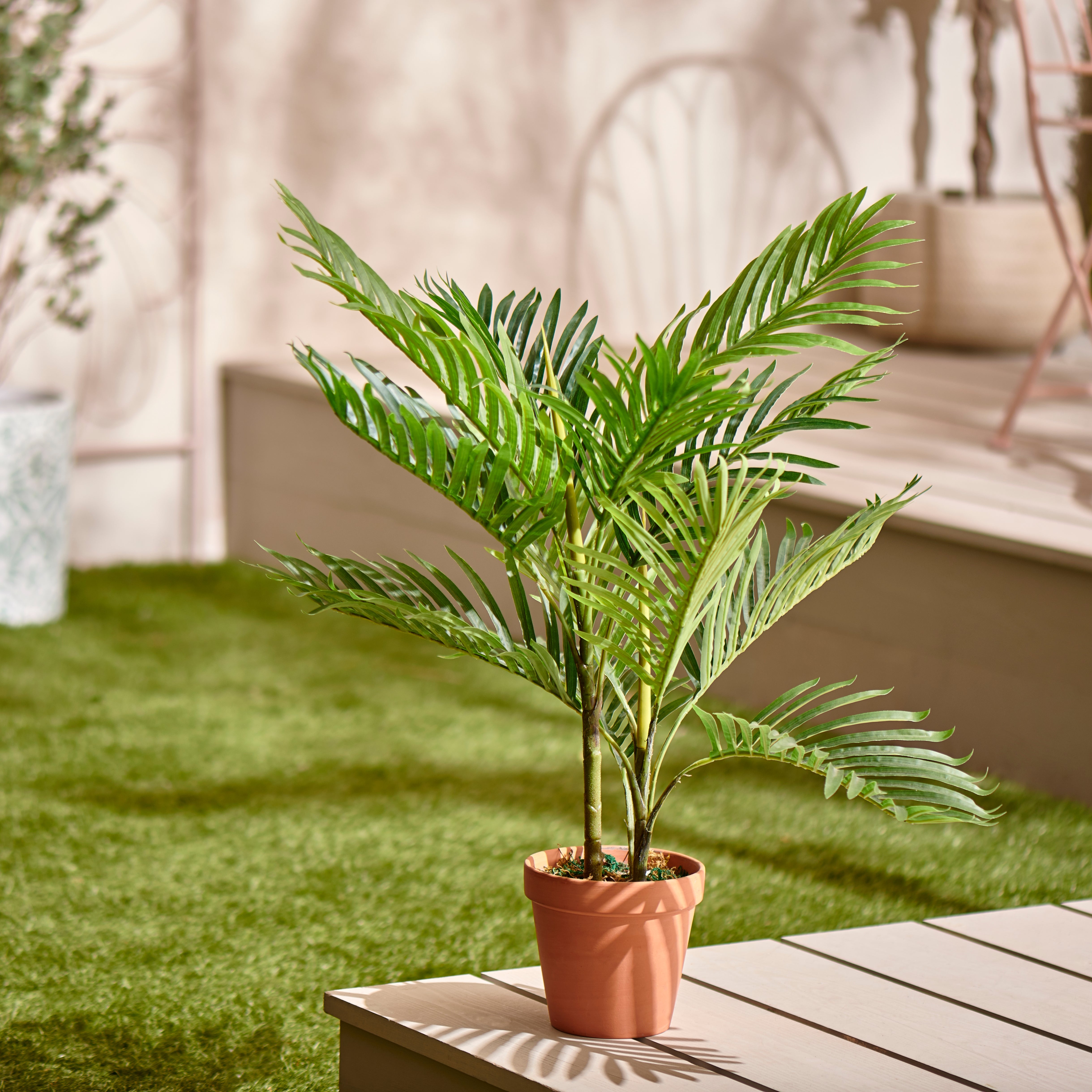 Fern in Terracotta Pot Green Price Comparisons | Compare The Build