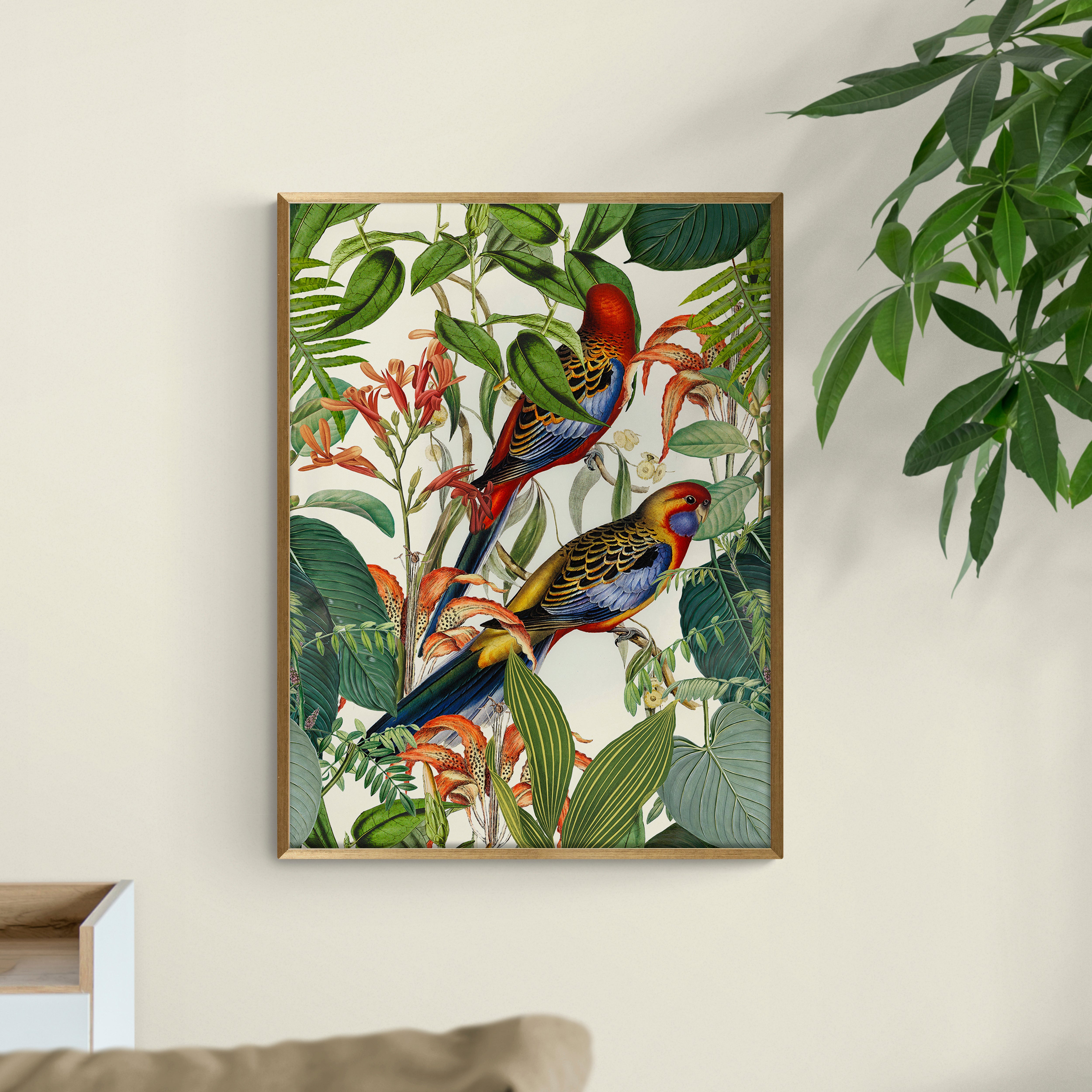 Exotic Jungle Birds by andrea Haase Framed Print MultiColoured Price Comparisons | Compare The Build