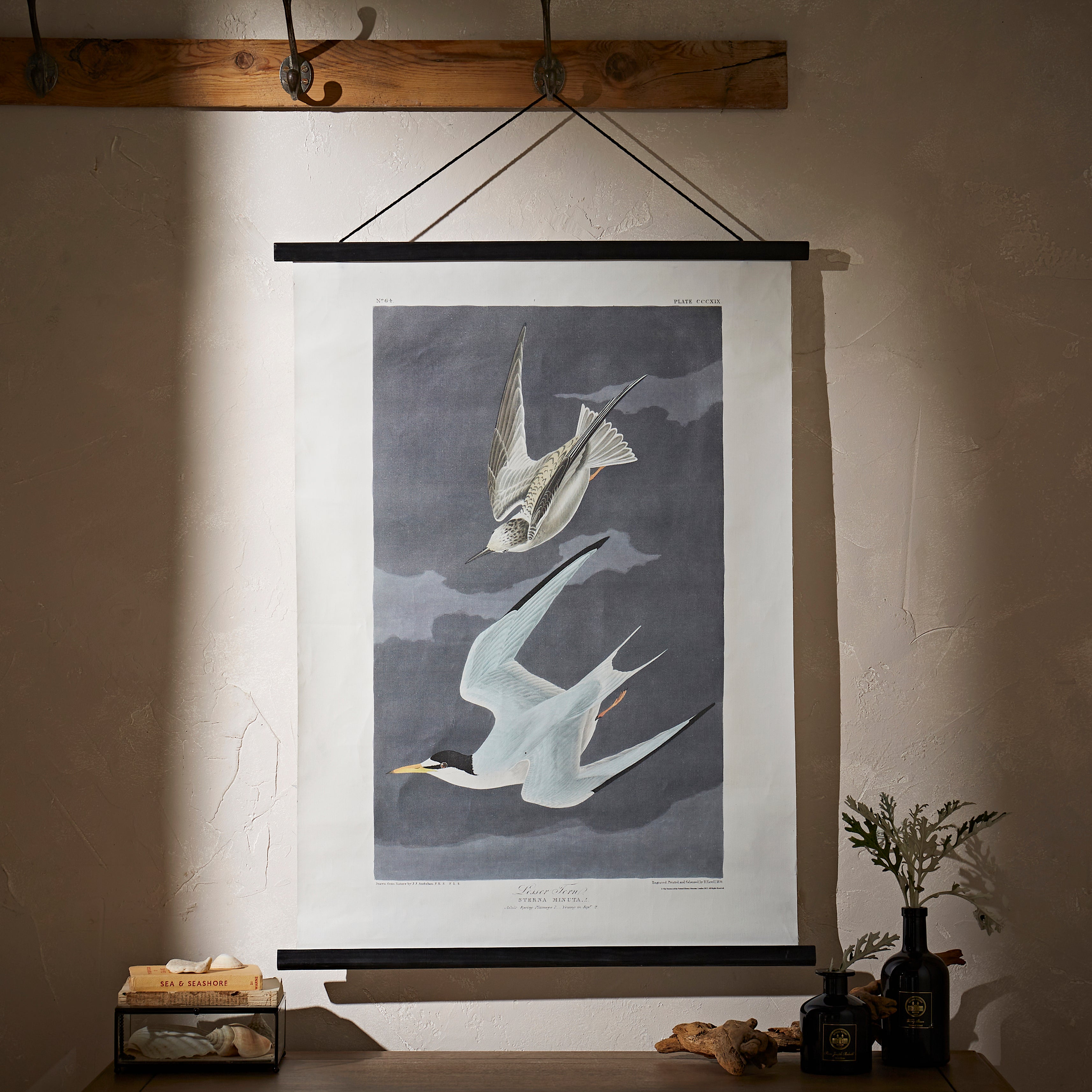 Birds Hanging Canvas 85cm x 62cm Black Price Comparisons | Compare The Build