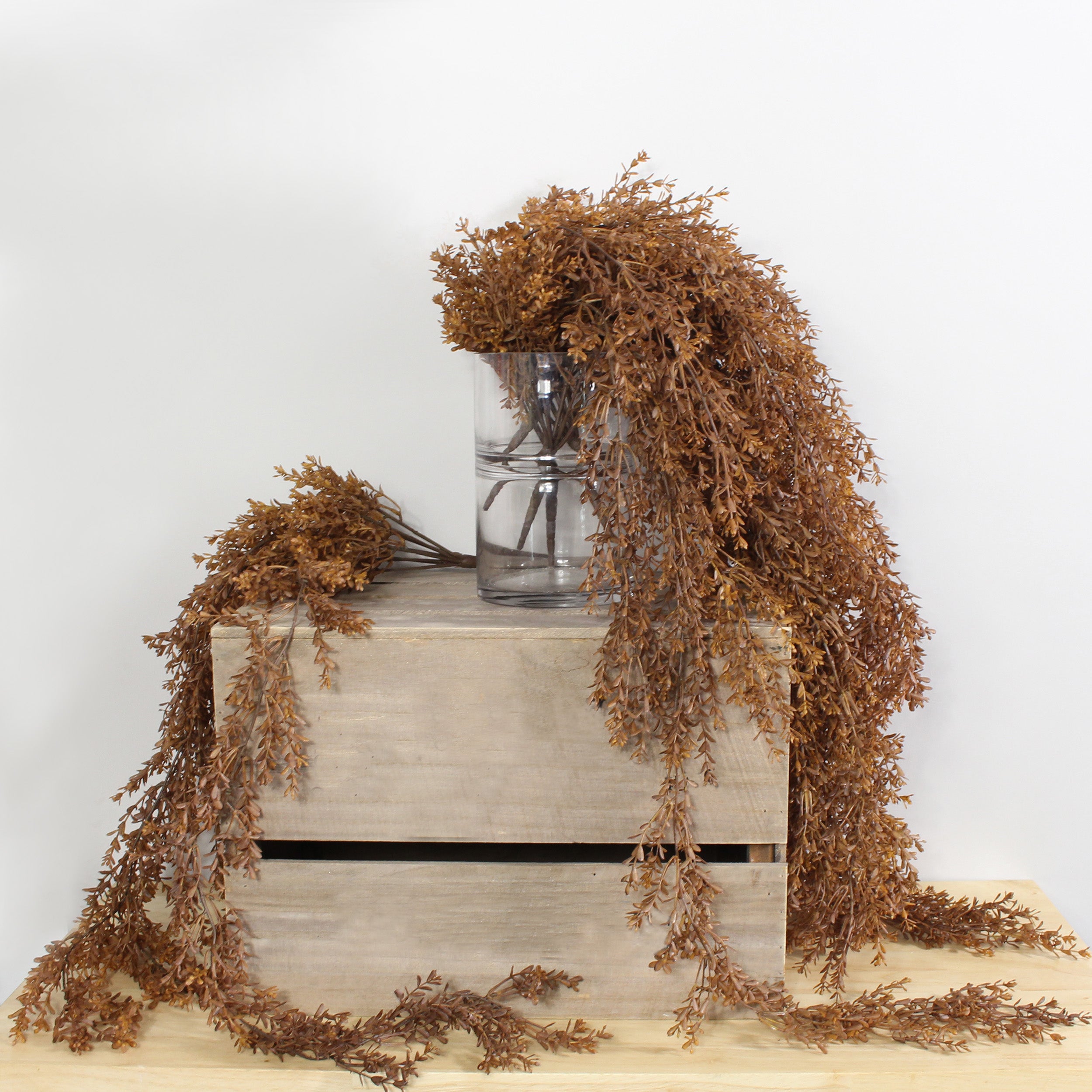 Brown Vine Bush Brown Price Comparisons | Compare The Build