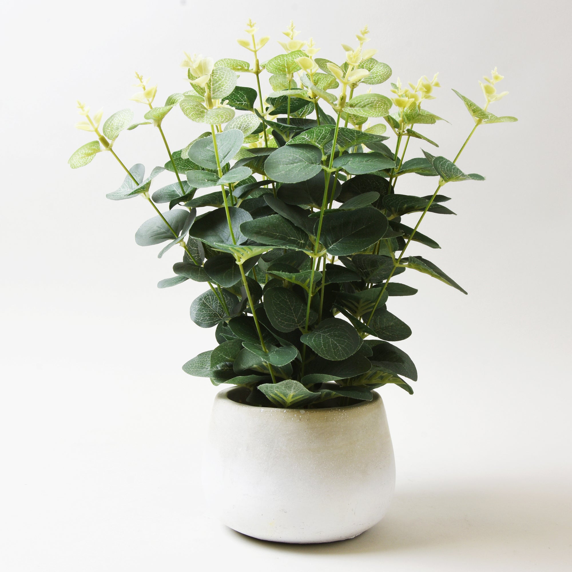 Artificial Eucalyptus Green in White Pot 33cm White Price Comparisons | Compare The Build