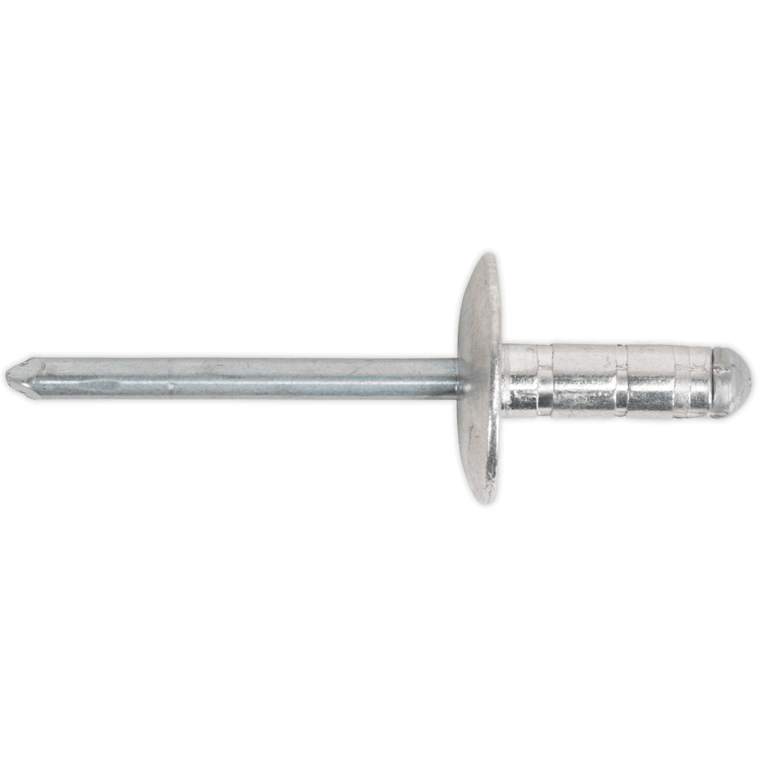 Sealey Large Flange Multi Grip Aluminium Rivets 4.8mm 19mm Pack of 200 Price Comparisons | Compare The Build