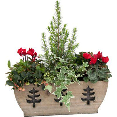 Wooden Planter With Trees Price Comparisons | Compare The Build