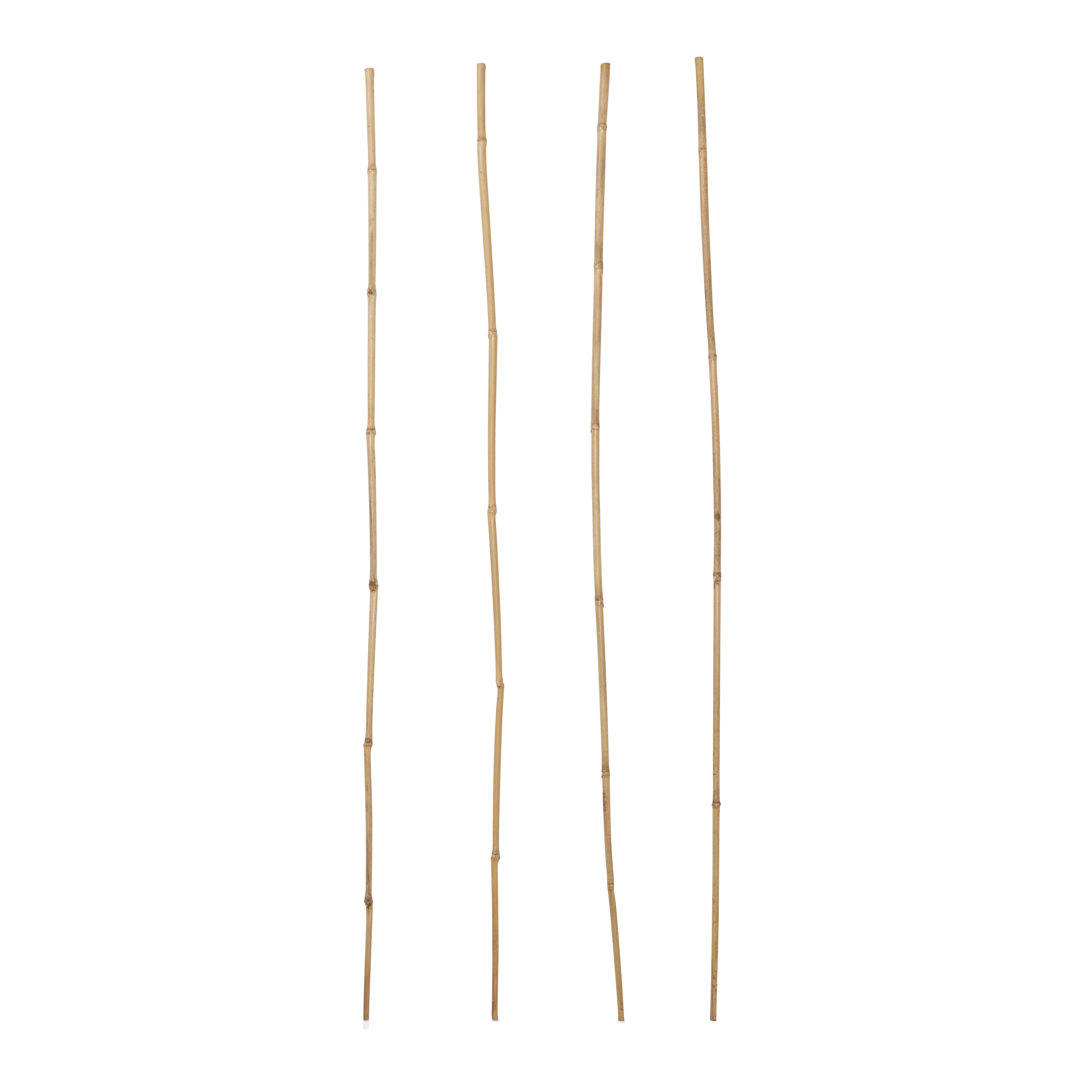 Verve Bamboo Cane 90Cm, Pack Of 15 Price Comparisons | Compare The Build