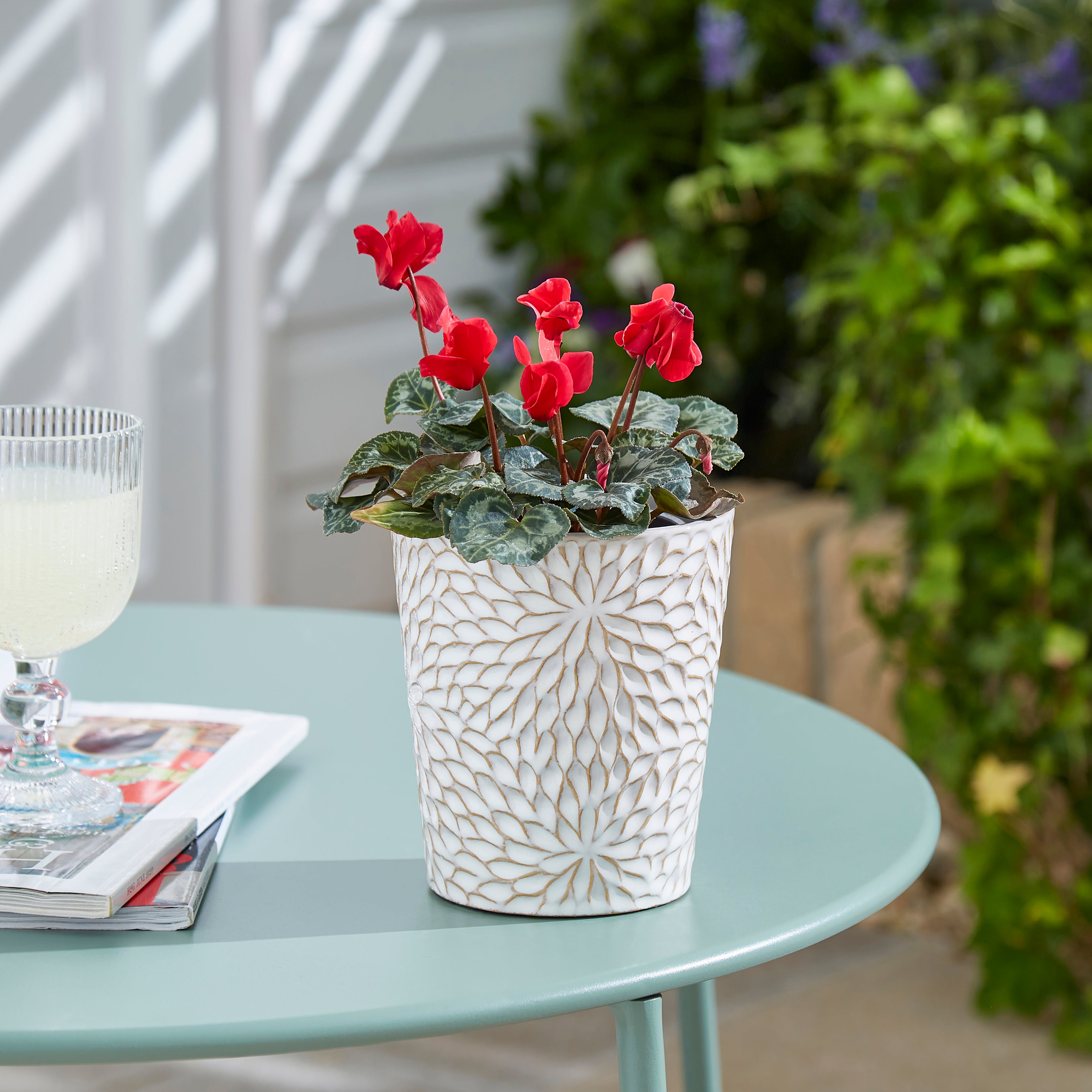 Taylor's Bulbs Ceramic Patterned Plant Pot with Oxalis Bulbs Kit White Price Comparisons | Compare The Build