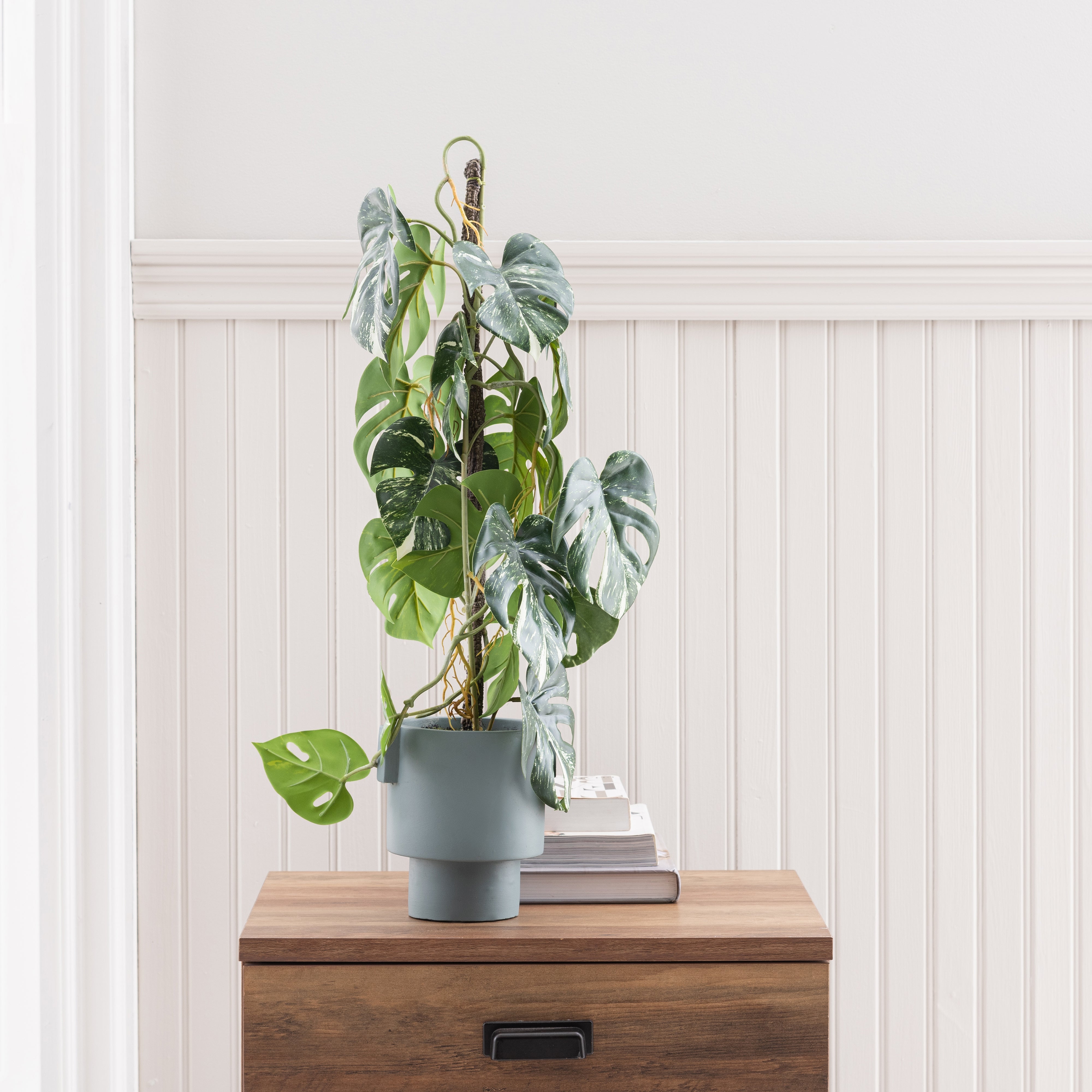 Artificial Climbing Variegated Monstera in Pacific Pot Green Price Comparisons | Compare The Build