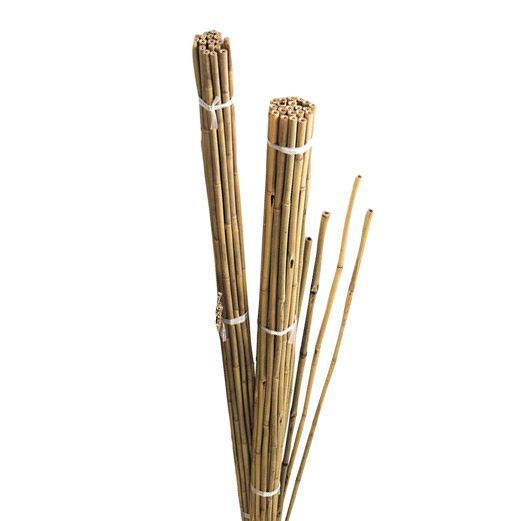 Gardman Bamboo Cane 122Cm, Pack Of 20 Price Comparisons | Compare The Build