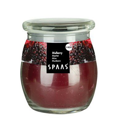 Spaas Mulberry Jar Candle Price Comparisons | Compare The Build