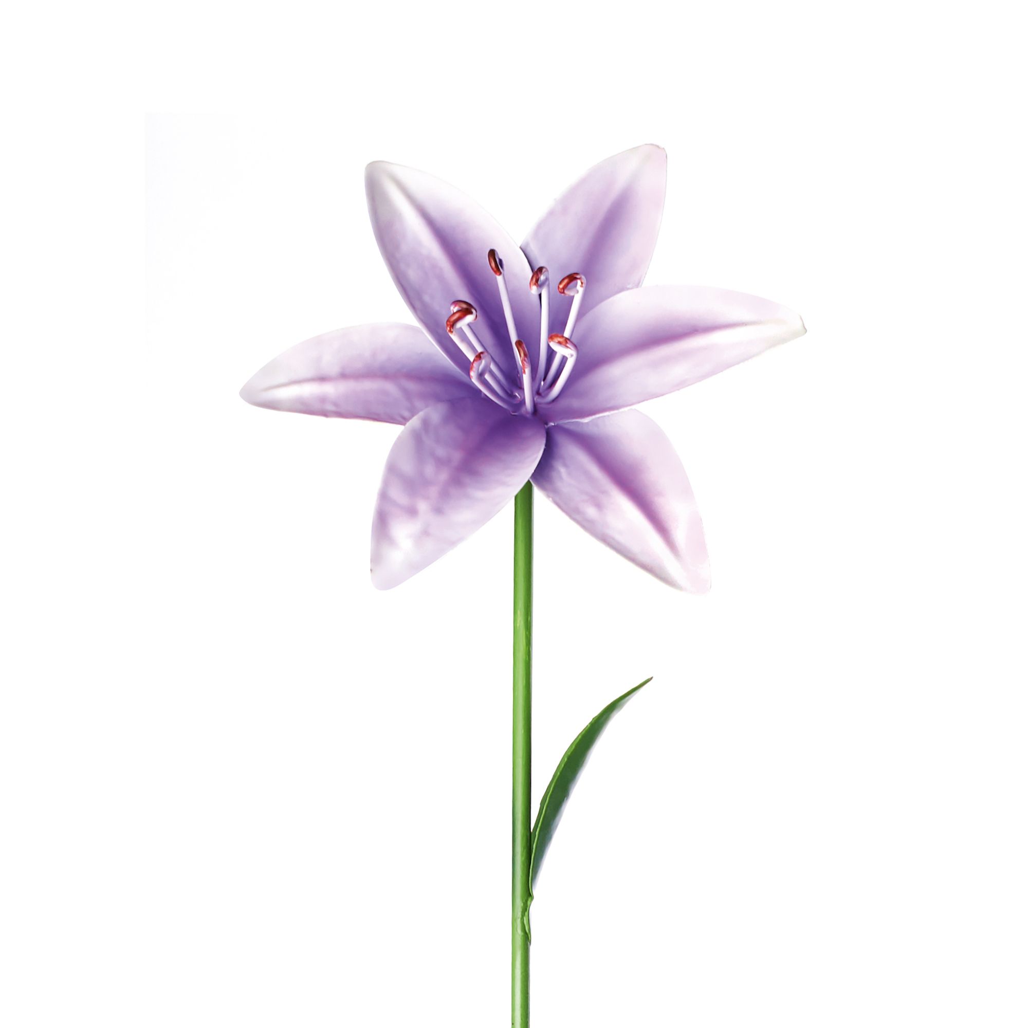 The Outdoor Living Company Lilac Lily Garden Stake (L)640mm Price Comparisons | Compare The Build