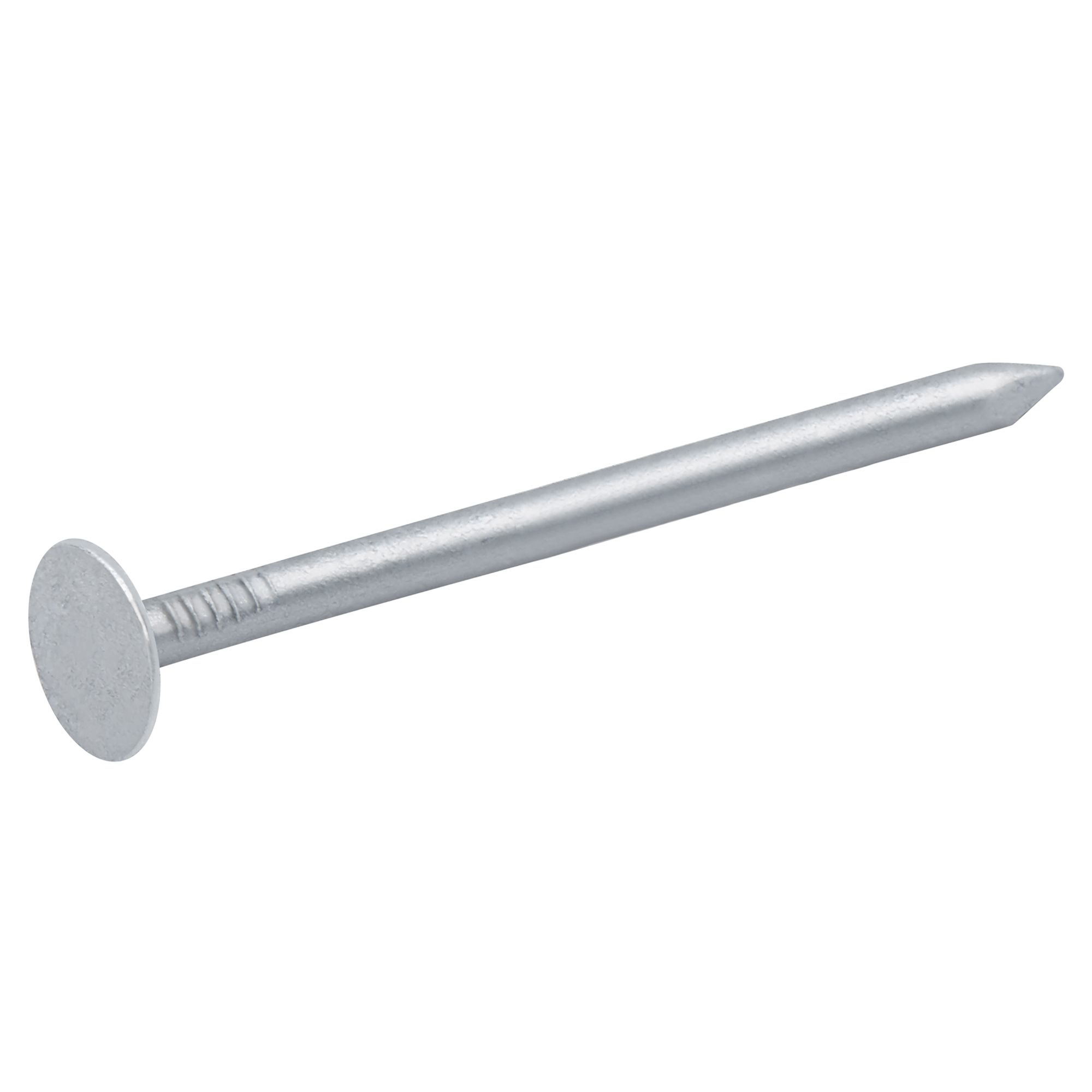 Diall Galvanised Clout Nail (L)50mm (Dia)3mm 2Kg | Compare The Build