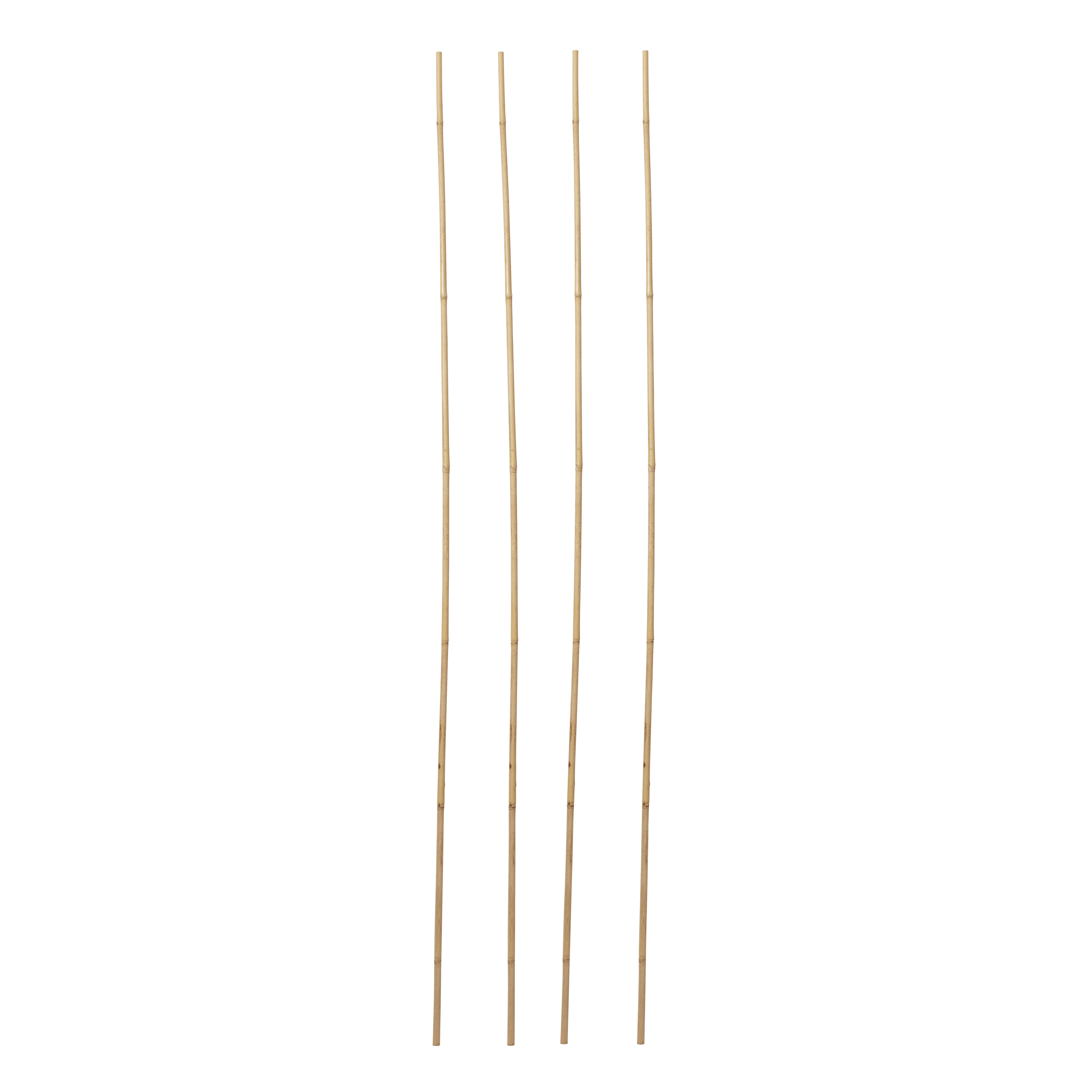 Verve Bamboo Cane 240Cm, Pack Of 10 Price Comparisons | Compare The Build