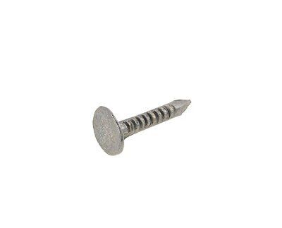 Skip19B Clout Nailgalvanised 1Kg 20X3mm Price Comparisons | Compare The Build