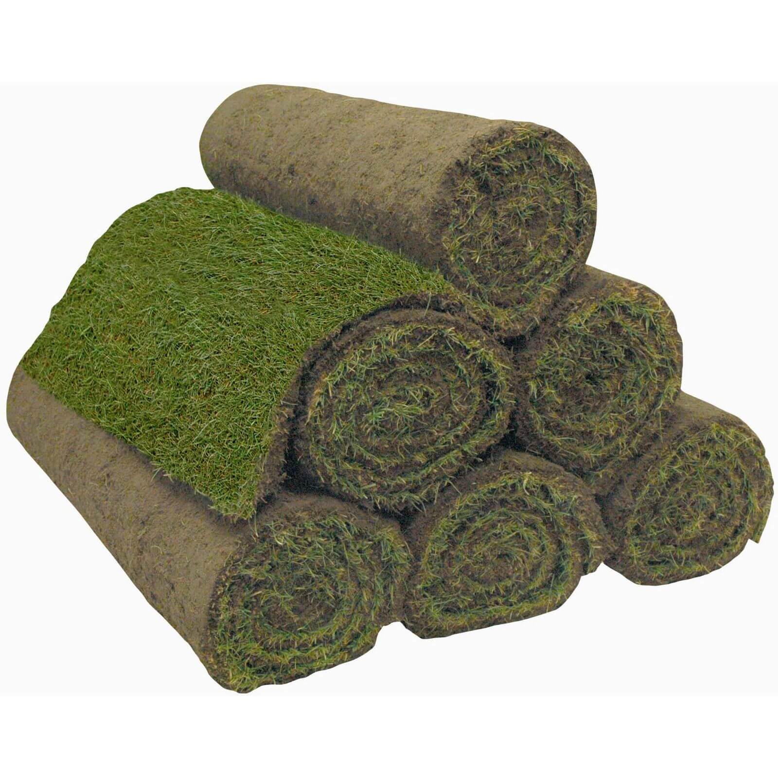 Classic Fresh Turf - 40 Rolls / 40sq m coverage Price Comparisons | Compare The Build