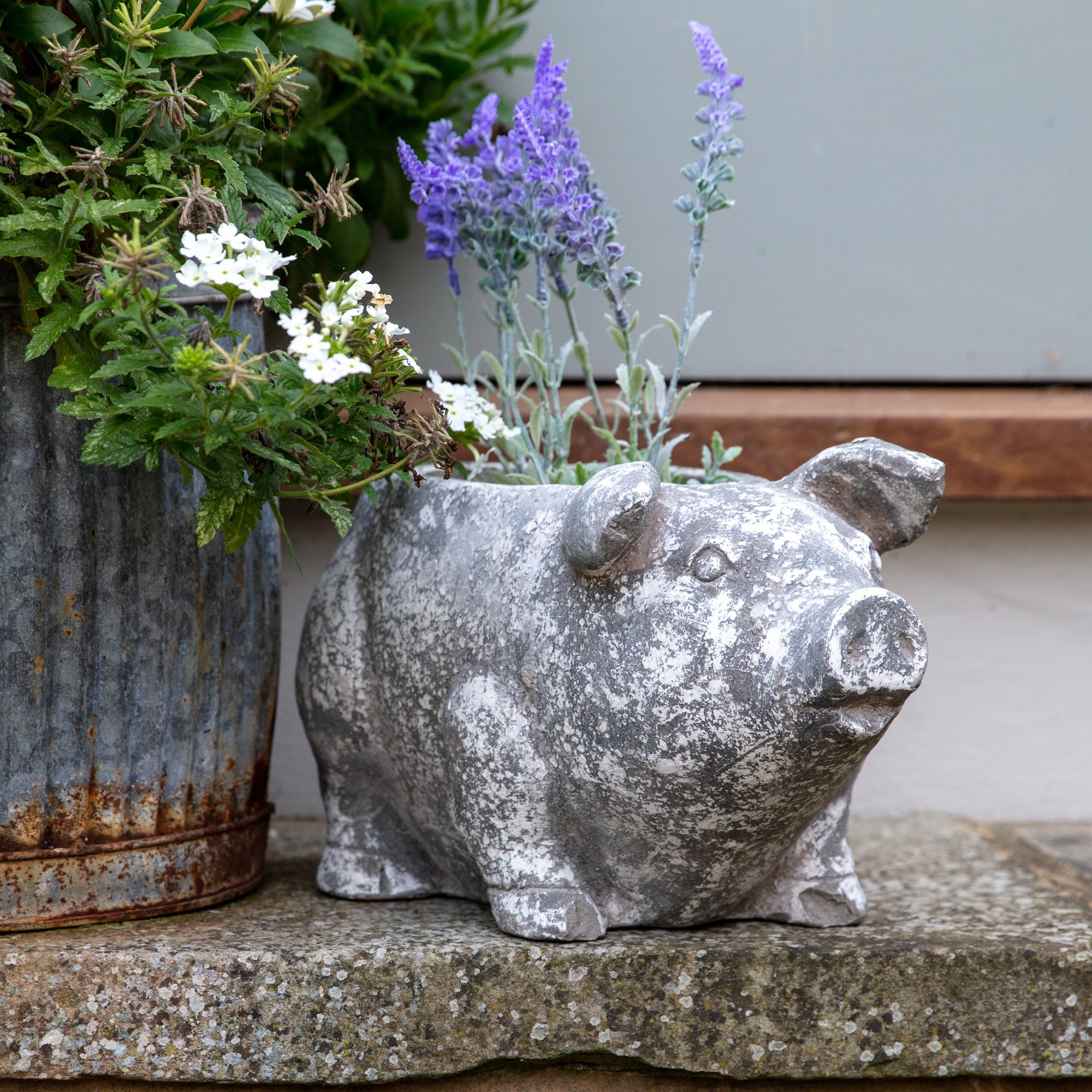 Allesley Pig Planter Antique White 19.5cm Antique White | Compare The Build