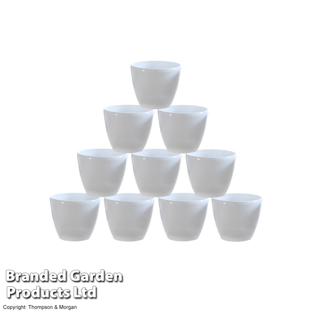 White Plastic Pot Price Comparisons | Compare The Build