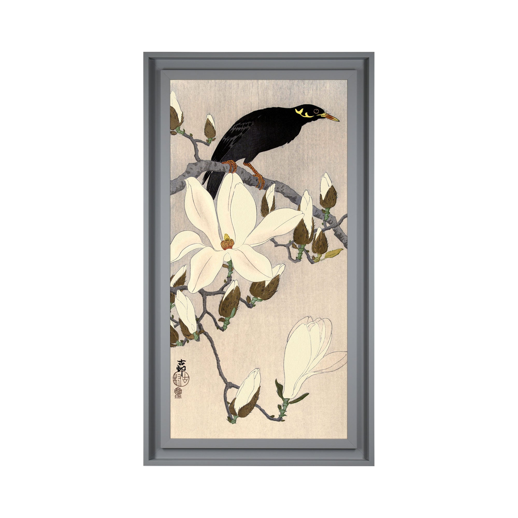 The Art Group Myna Magnolia Branch Framed Print MultiColoured Price Comparisons | Compare The Build