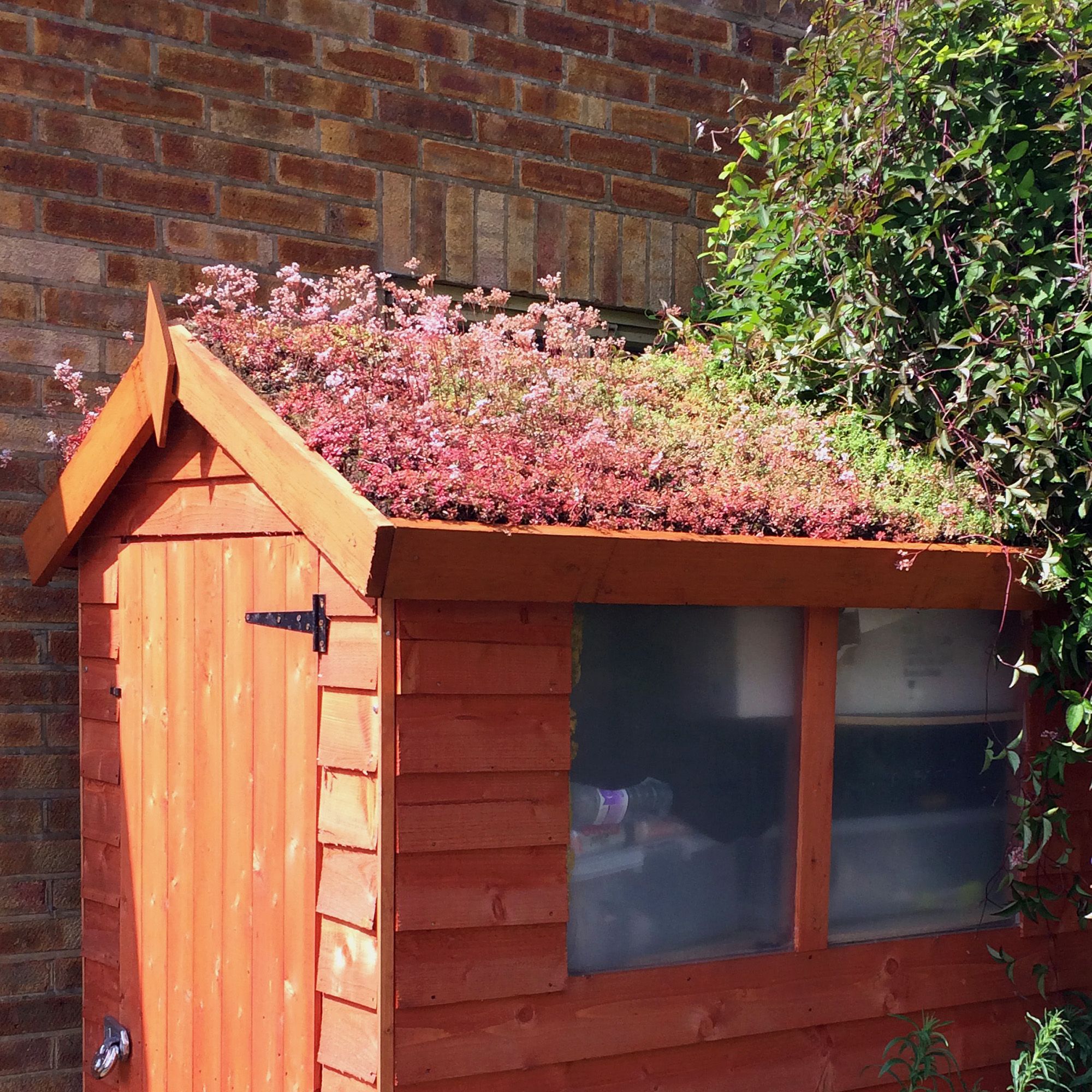Rooftrade Living Roof (L)4M (W)1M (T)700mm Price Comparisons | Compare The Build