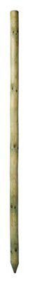 Grange Timber Tree Pole (L)1.5M (W)40mm | Compare The Build