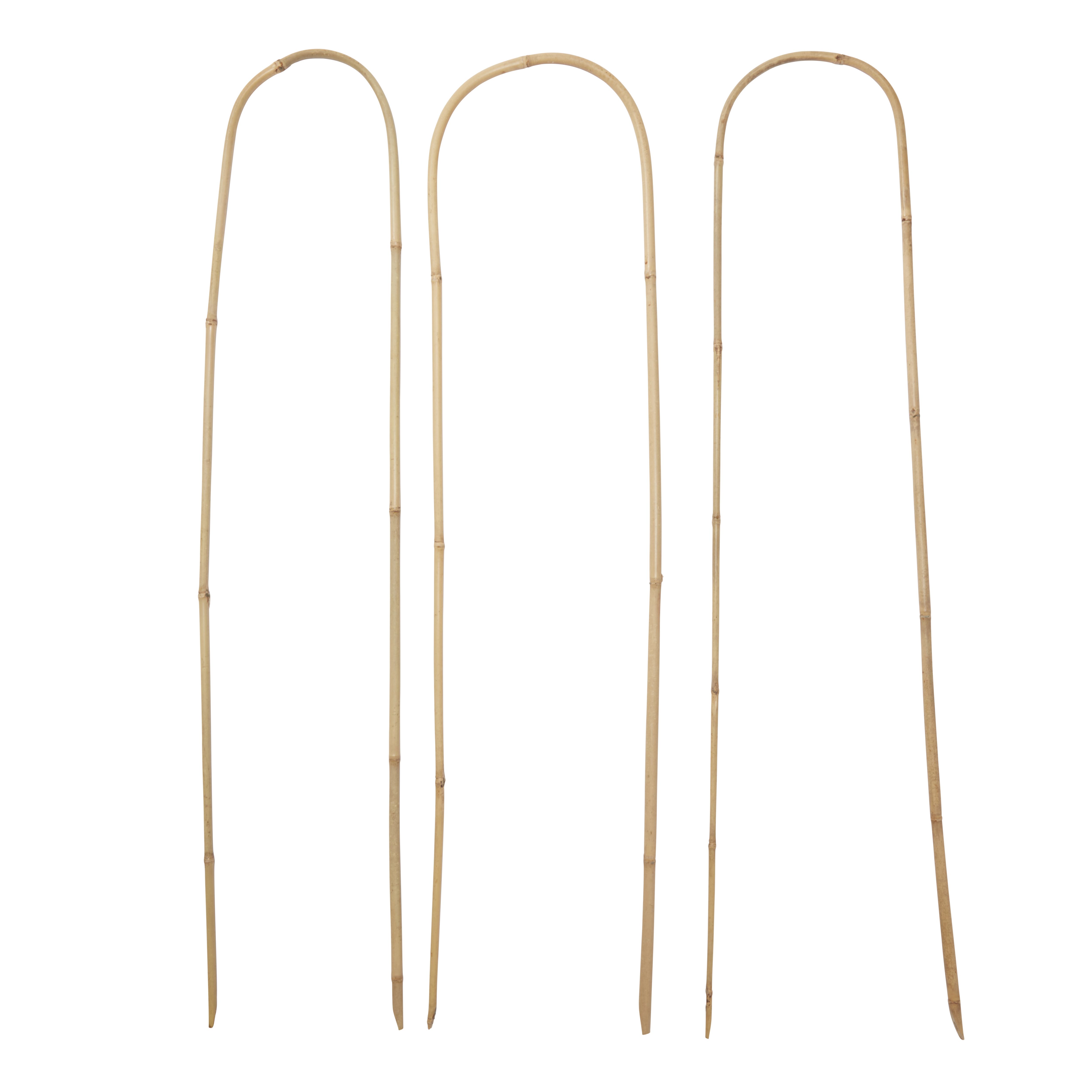 Verve Bamboo Hoop Plant Support 120Cm, Pack Of 3 Price Comparisons | Compare The Build