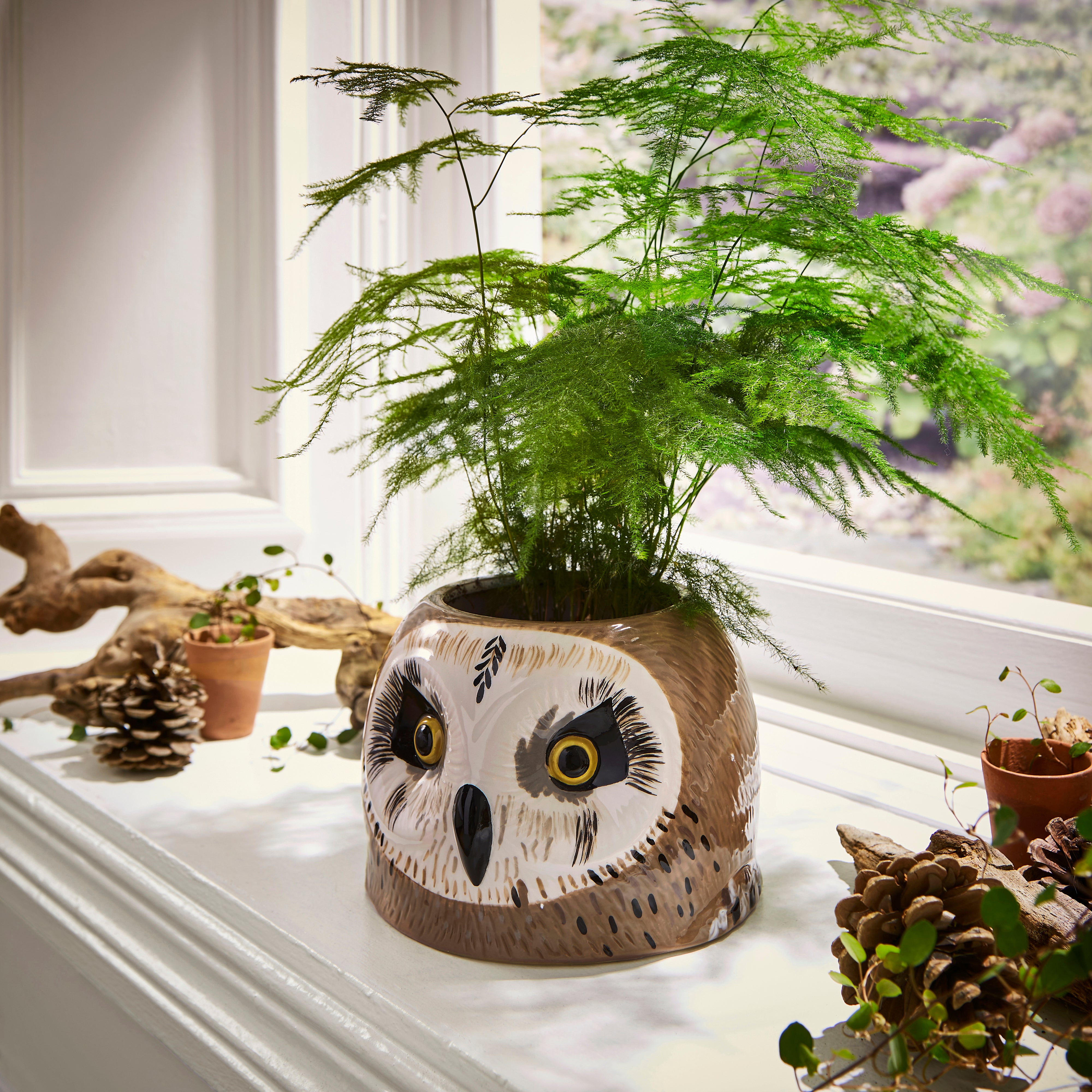 Owl Planter Natural Price Comparisons | Compare The Build