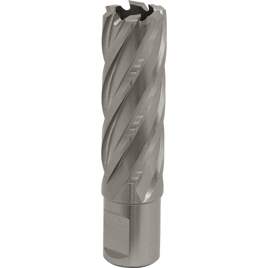 Sealey Rotabor Weldon Shank HSS Mag Drill Cutter 21mm 50mm Price Comparisons | Compare The Build