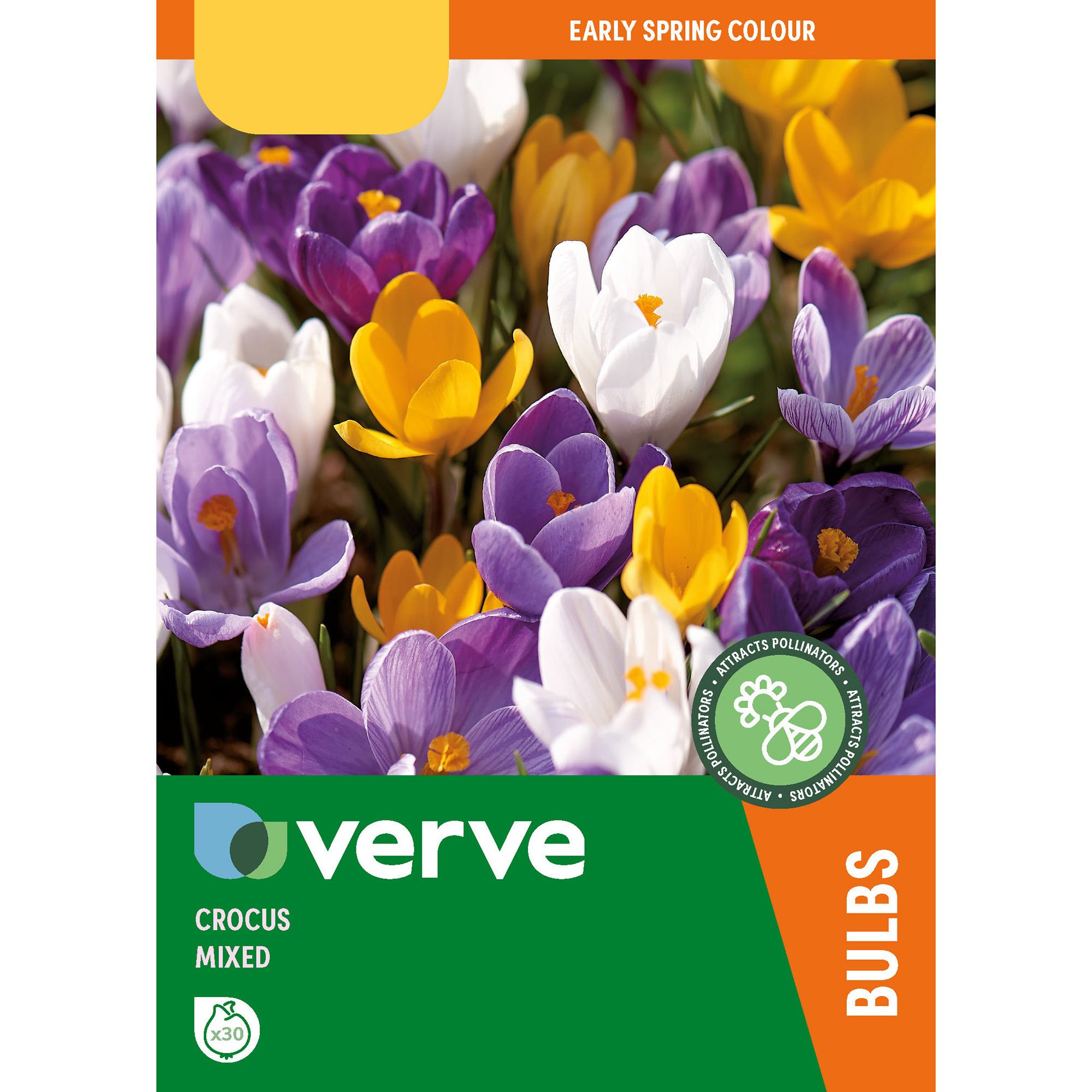 Verve Crocus Mixed Flower Bulb, Pack Of 30 Price Comparisons | Compare The Build