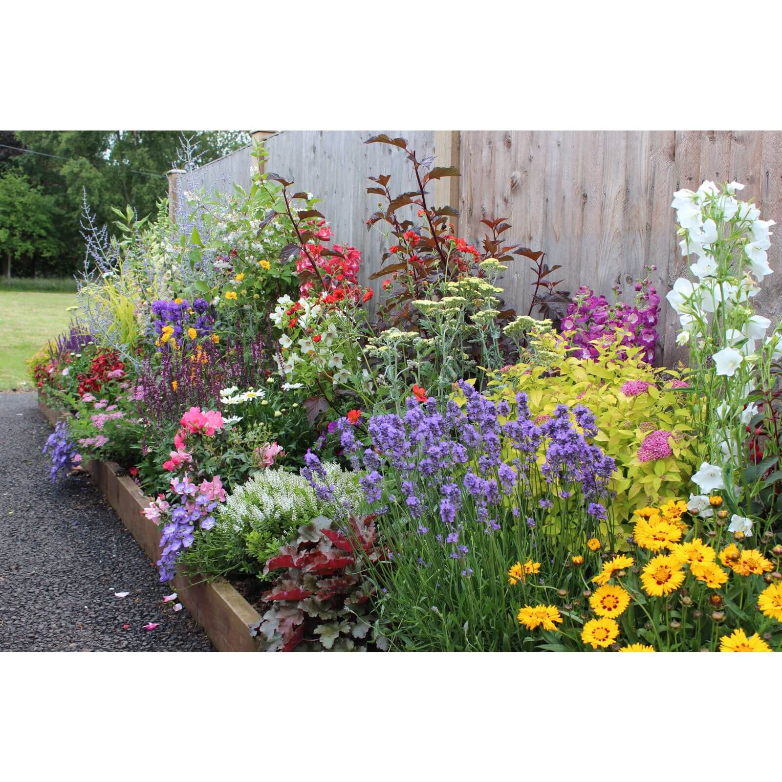 Bee and Butterfly Border Collection - 4m x 90cm Price Comparisons | Compare The Build