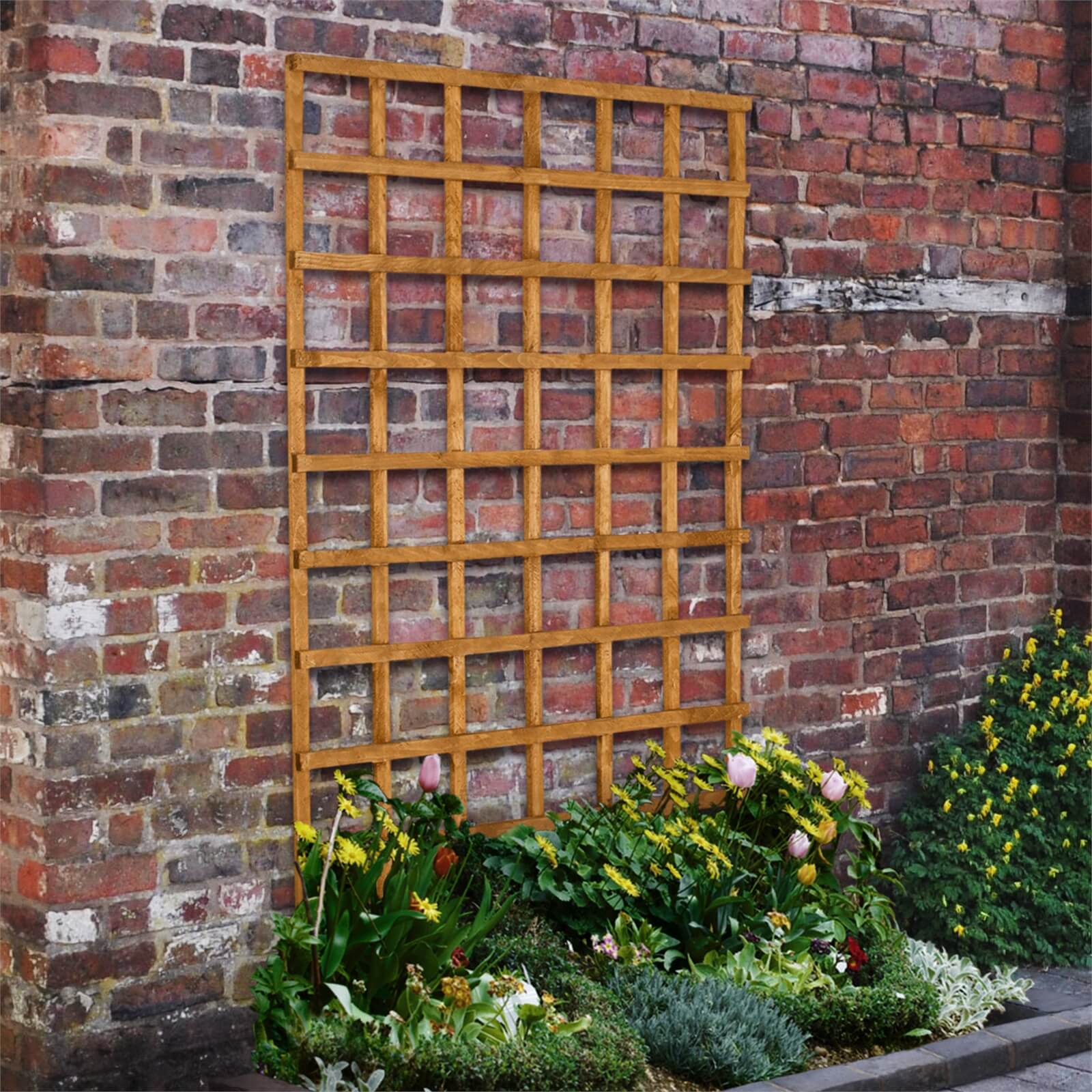 Heavy Duty Trellis - 122cm - Pack of 5 Price Comparisons | Compare The Build