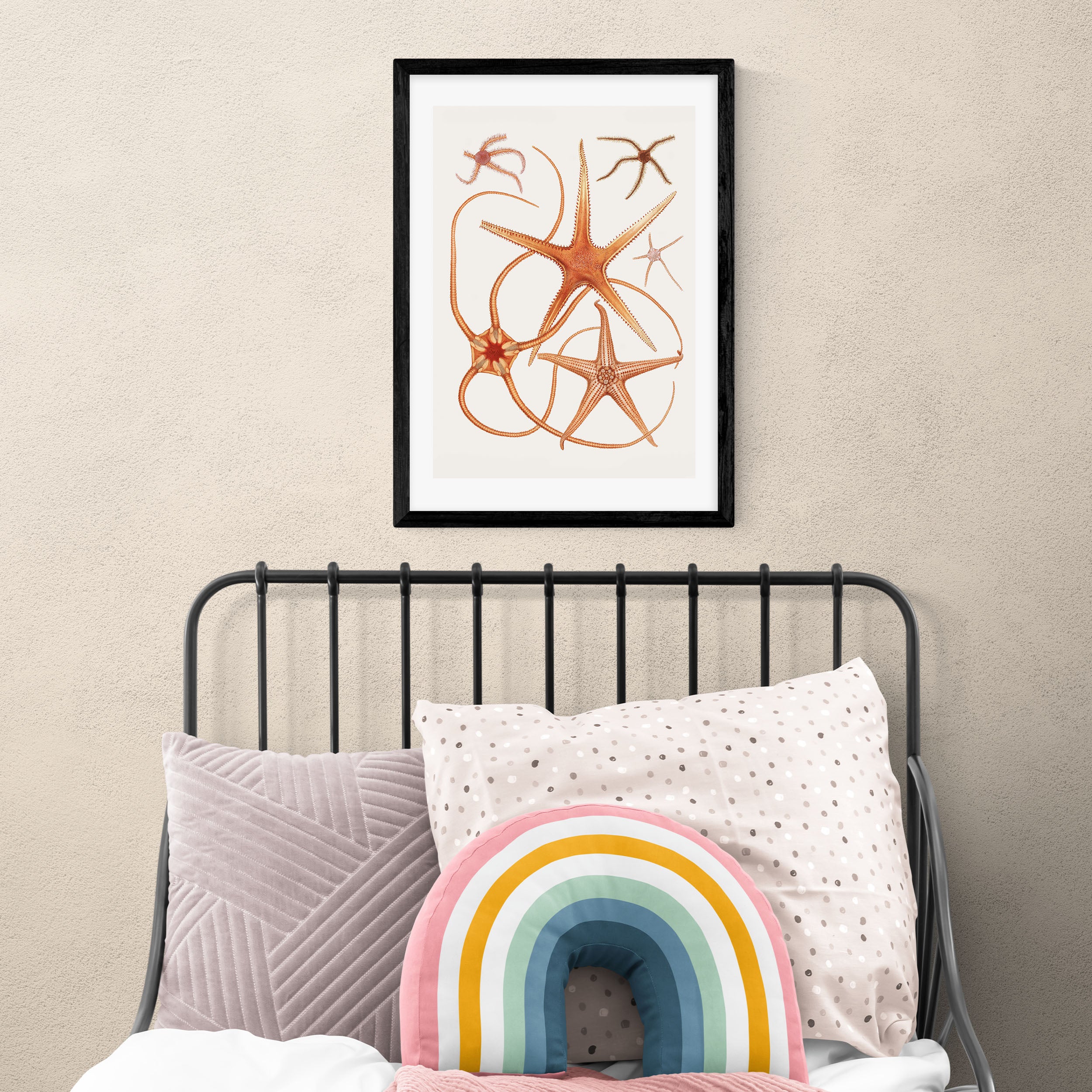 East End Prints Vintage Starfish 2 Print Orange Price Comparisons | Compare The Build