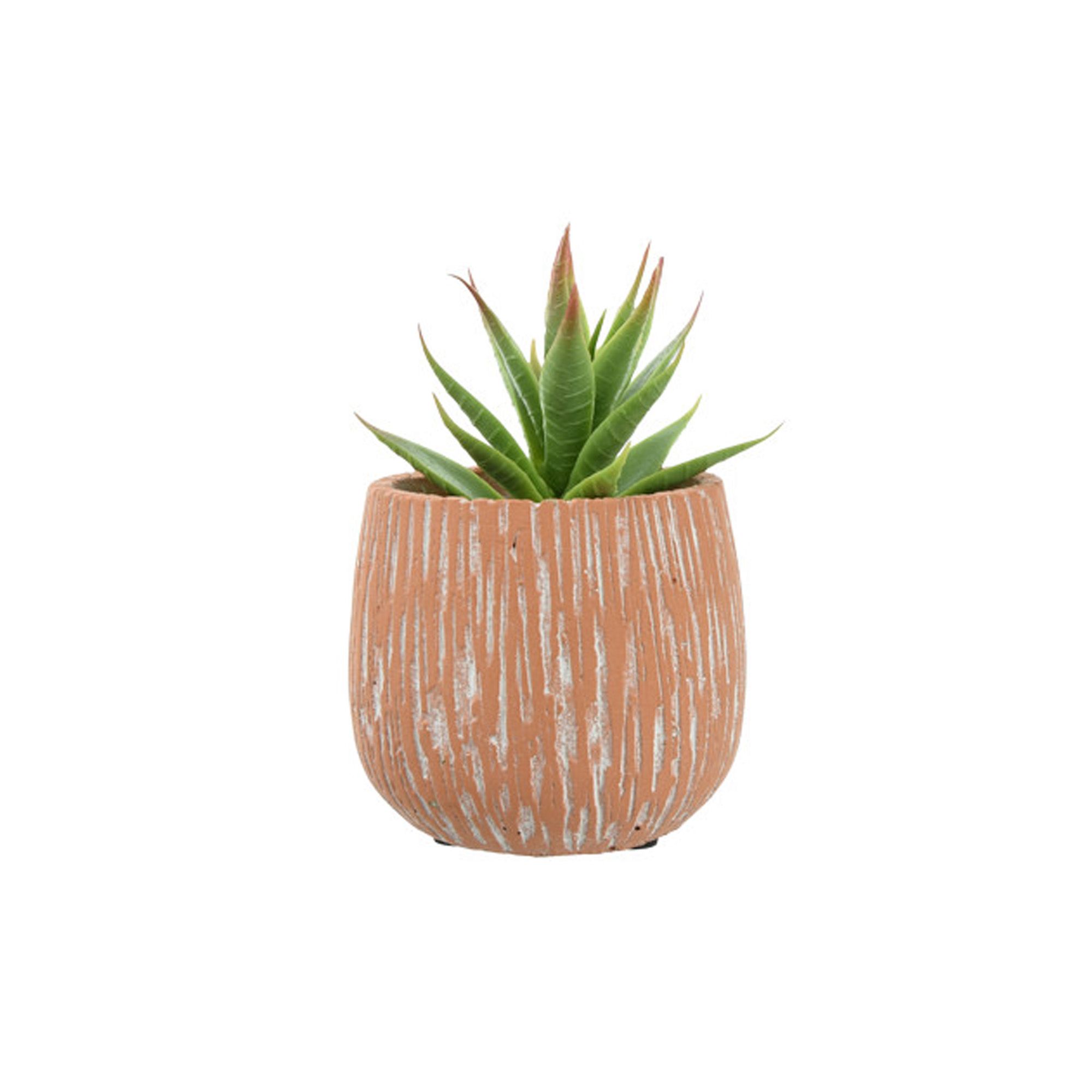 Candlelight 8Cm Aloe Vera Artificial Plant In Terracotta Textured Ceramic Pot Price Comparisons | Compare The Build