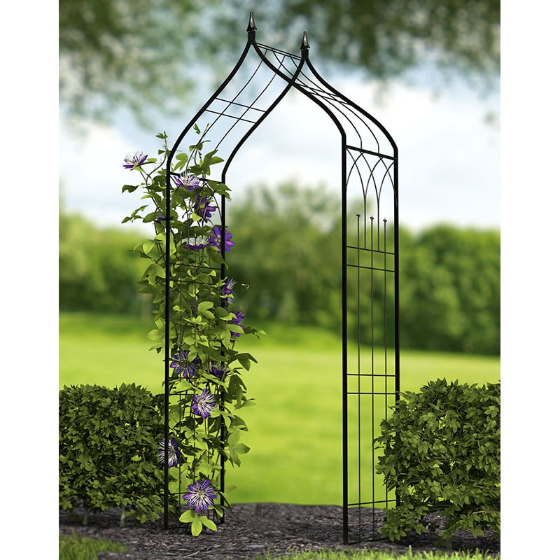 Panacea Ogee Metal Garden Arch 8'6 x 3'9 Price Comparisons | Compare The Build