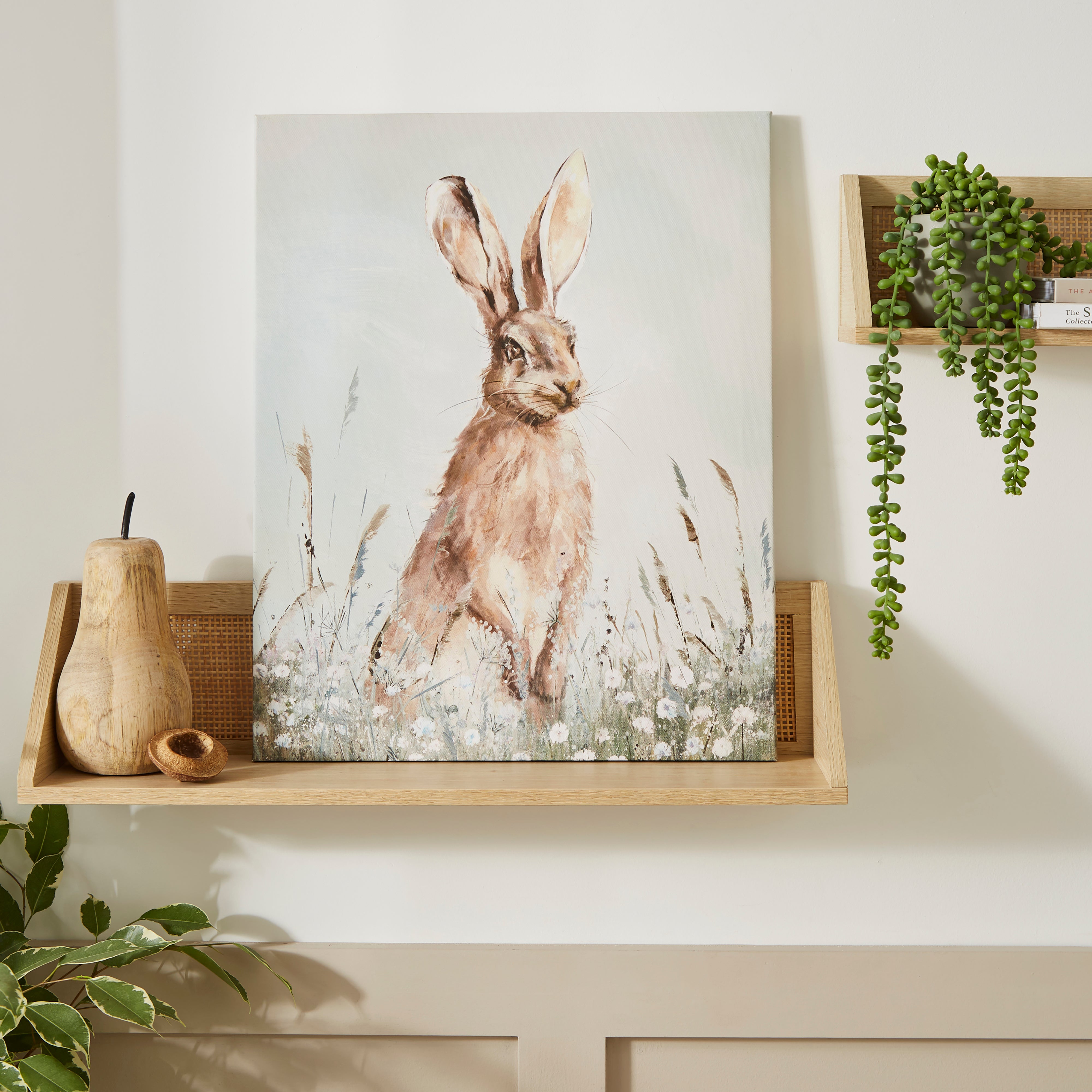 Hare Canvas 40x50cm Brown | Compare The Build