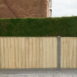 Forest Garden Pressure Treated Closedboard Fence Panel - 1830 x 930mm - 6 x 3ft - Pack of 5 Price Comparisons | Compare The Build