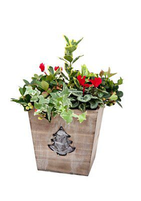 Square Wooden Planter With Trees Price Comparisons | Compare The Build