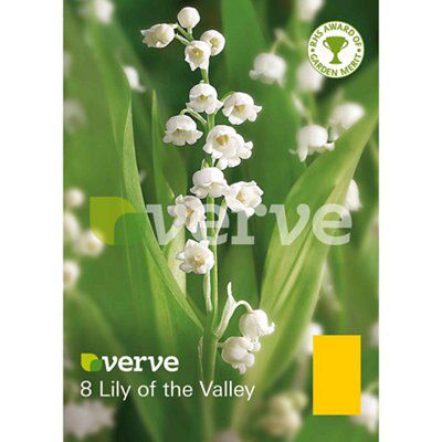 Verve Flower Bulb Price Comparisons | Compare The Build
