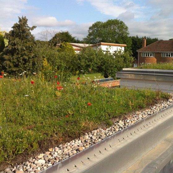 Green Roofing Wild Flower Blanket Full System 50m2 Kit - Skygarden VGWFB-50 | Compare The Build