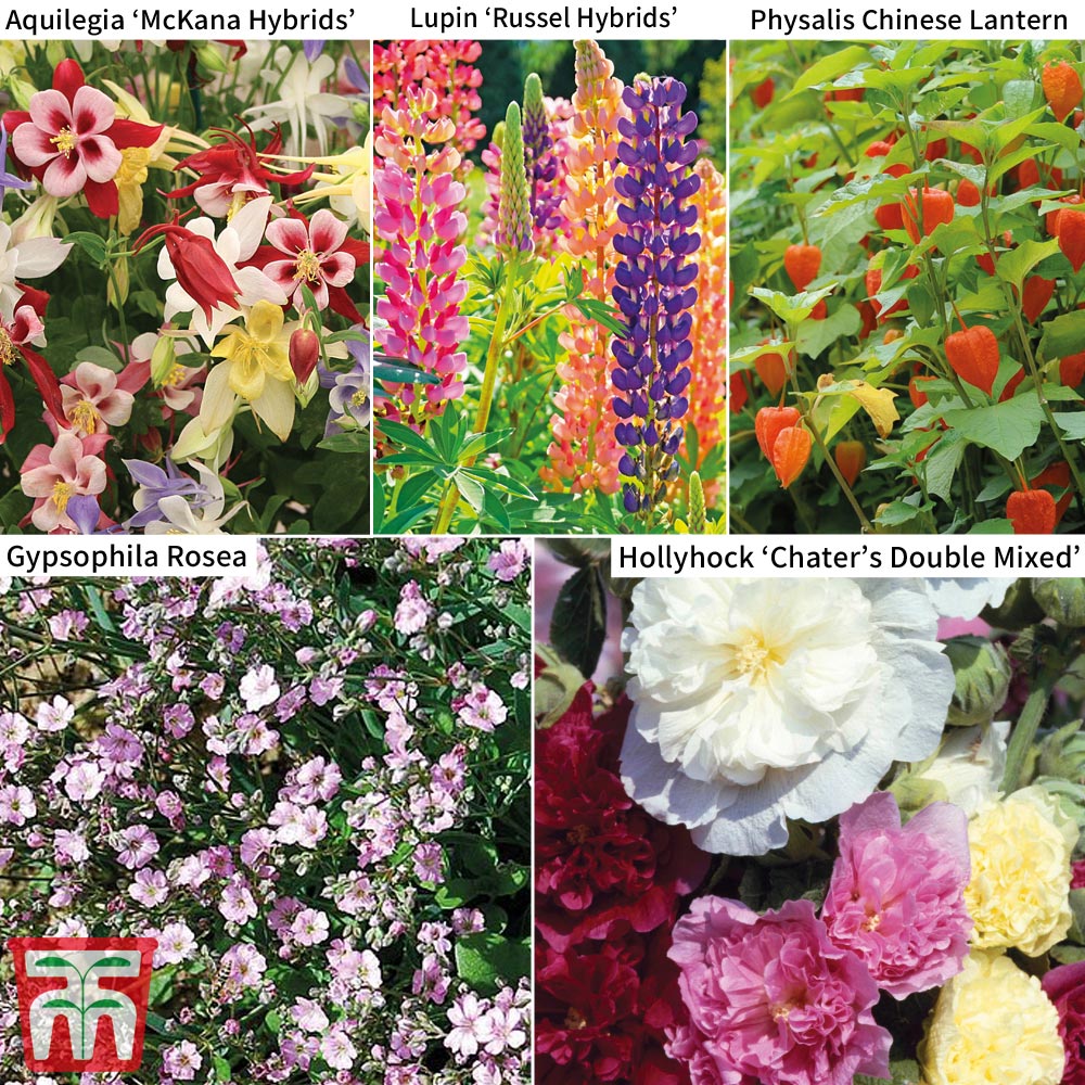 Perennial Saver Collection Price Comparisons | Compare The Build