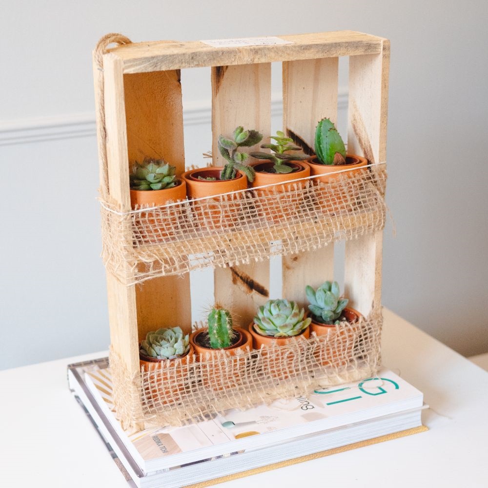 Hanging Wooden Succulent Shelf With 8 Plants Price Comparisons | Compare The Build