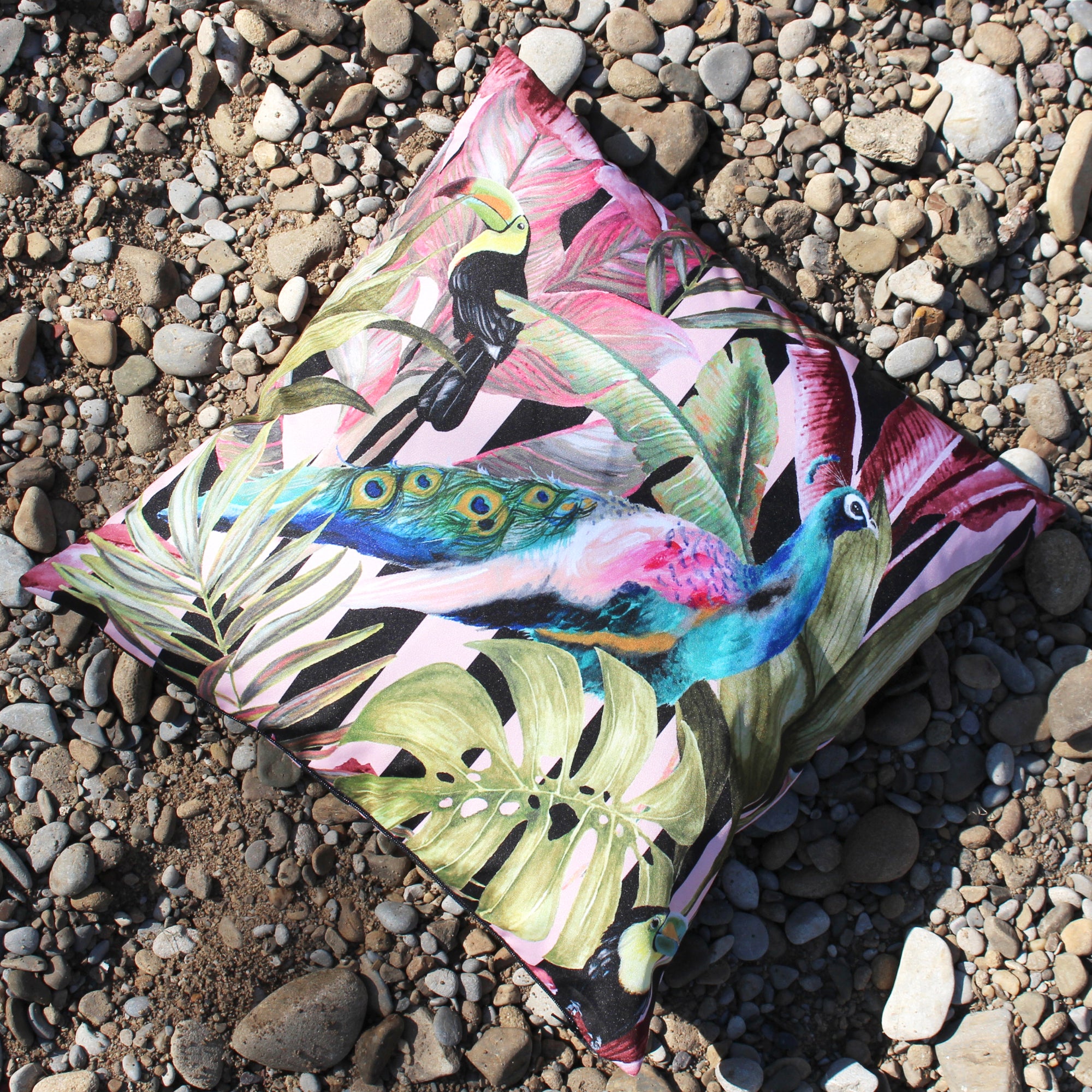 Evans Lichfield Toucan & Peacock Outdoor Cushion MultiColoured Price Comparisons | Compare The Build