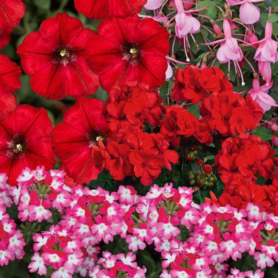 Verve Red Patio Collection Price Comparisons | Compare The Build
