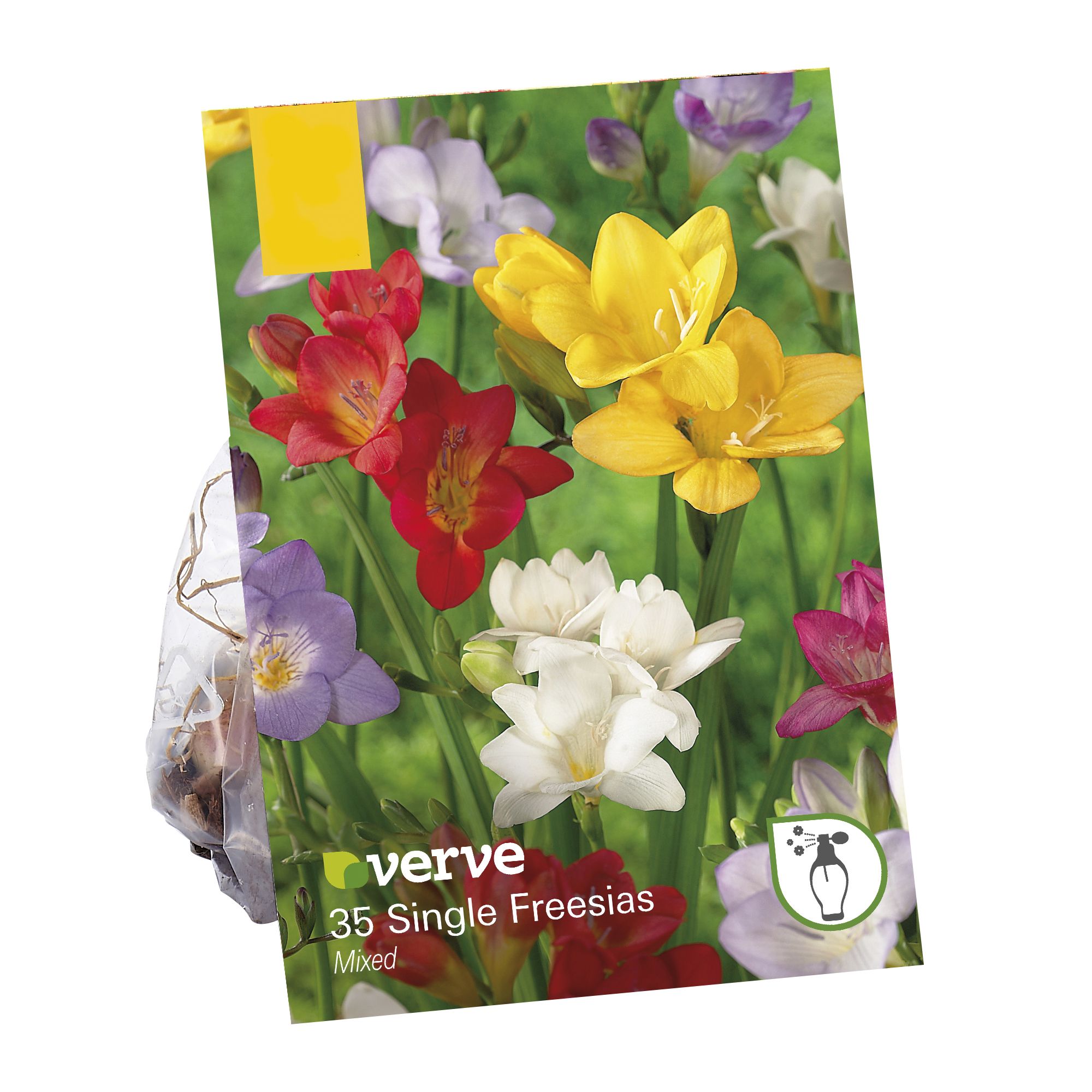 Verve Freesia Single Mixed Flower Bulb Price Comparisons | Compare The Build