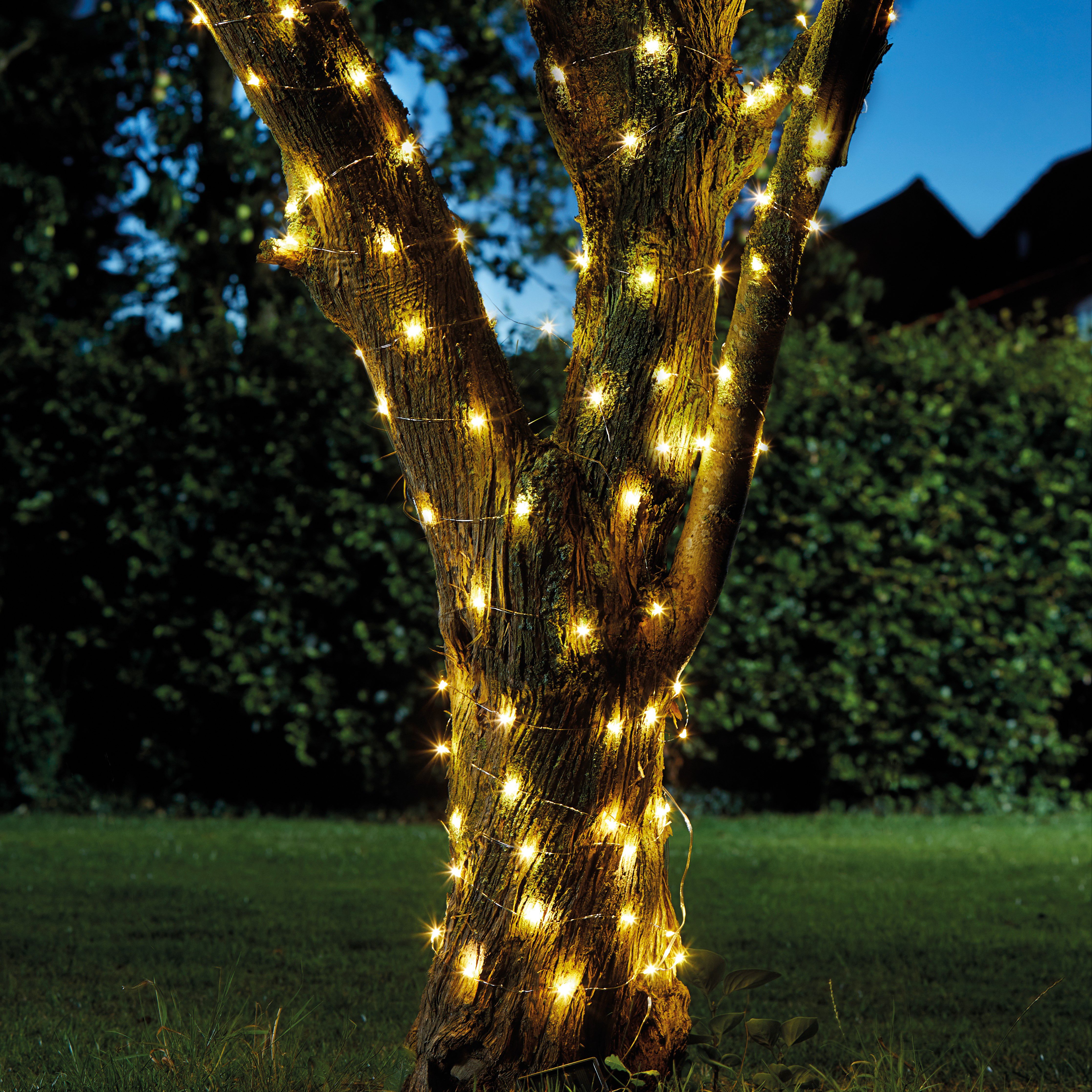 Solar Firefly Solar-Powered Warm White 100 Led Outdoor String Lights Price Comparisons | Compare The Build