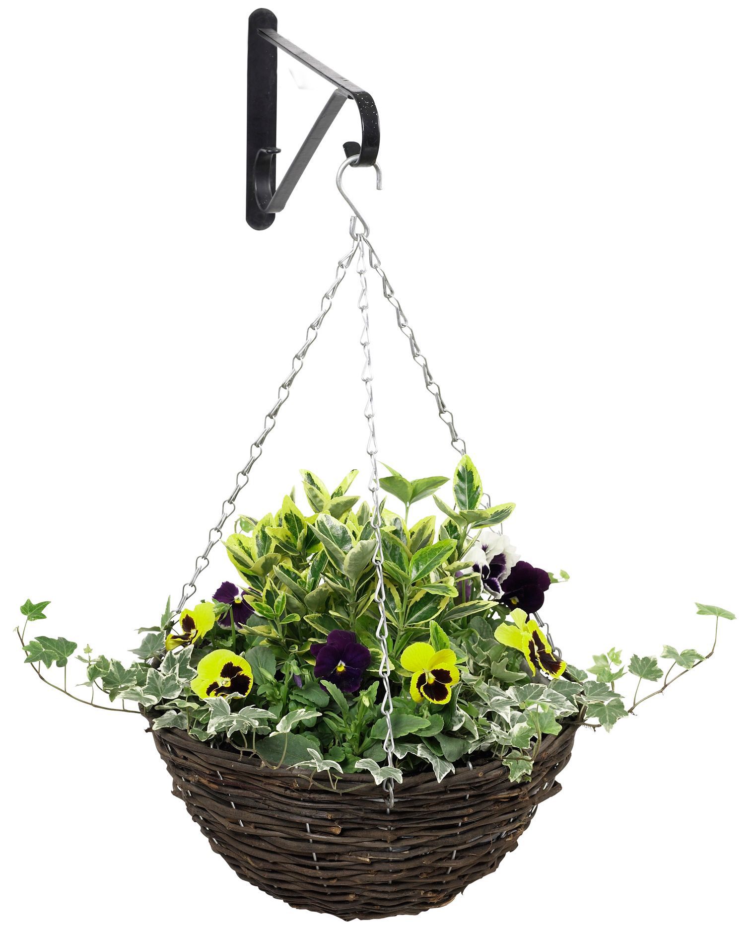 Brown Hanging Basket Of 1 Price Comparisons | Compare The Build